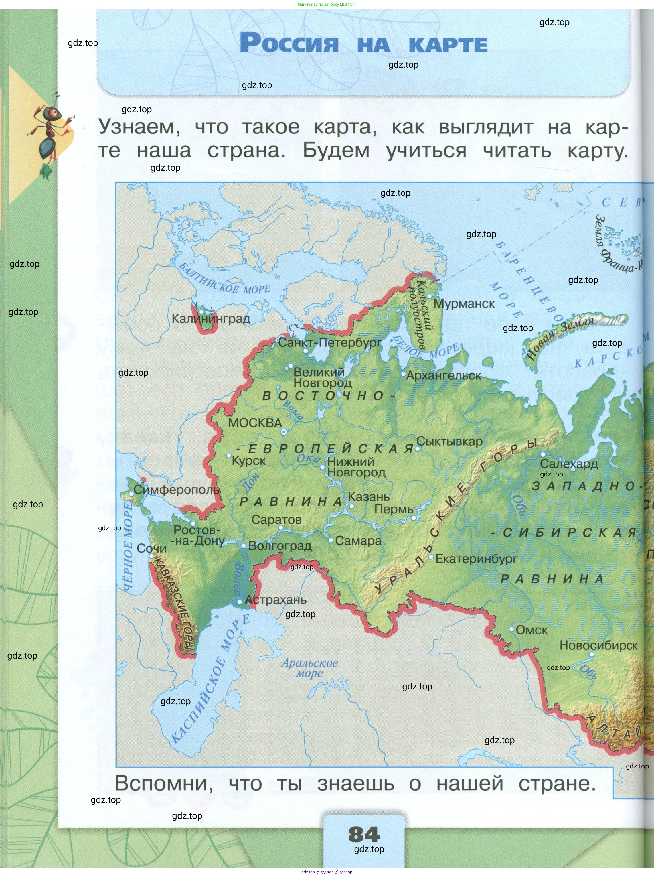 Окружающий мир, 1 класс Учебник, автор: Плешаков Андрей Анатольевич, издательство Просвещение, Москва, 2022, белого цвета, Часть 1, страница 84