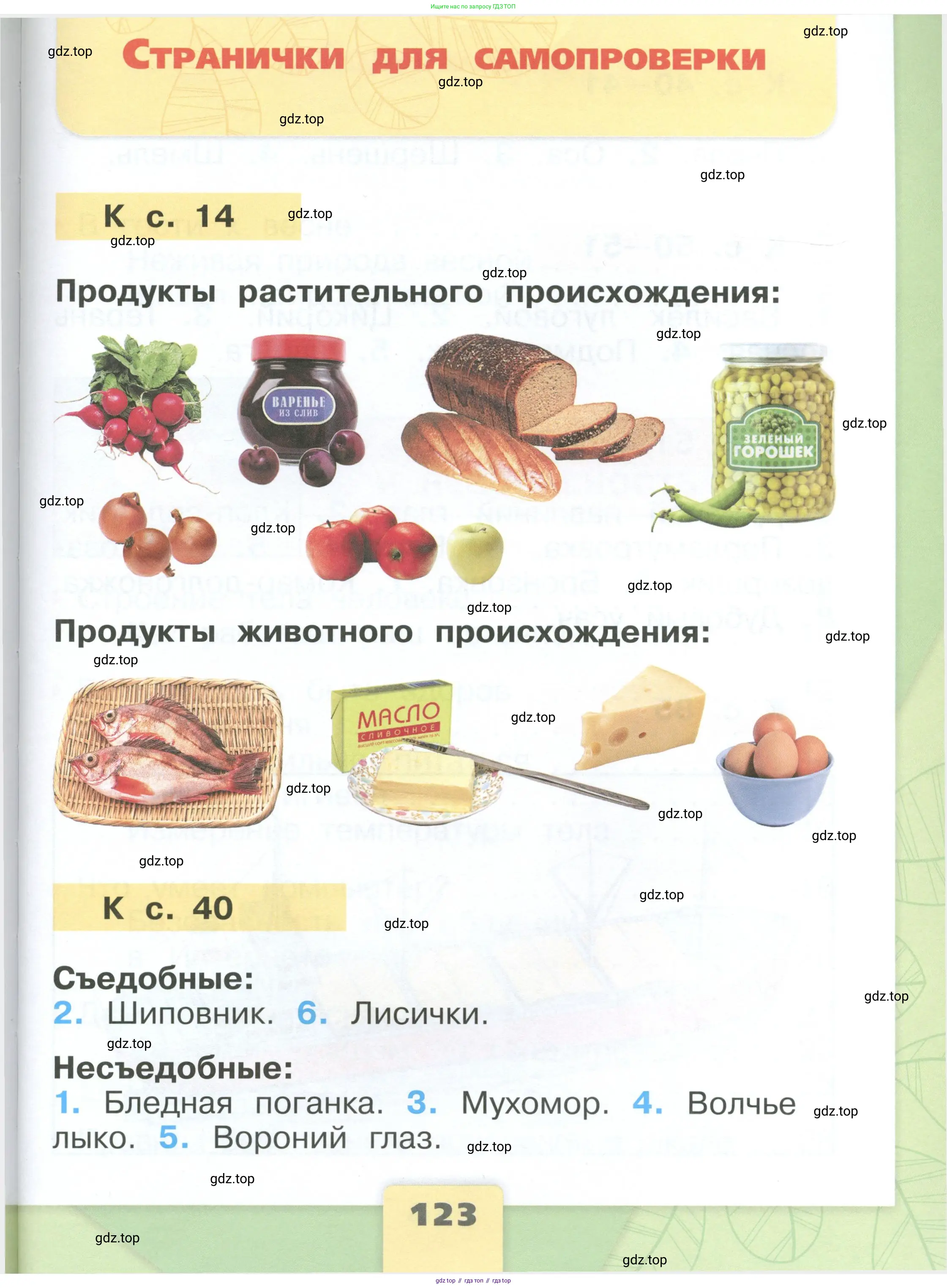 Окружающий мир, 1 класс Учебник, автор: Плешаков Андрей Анатольевич, издательство Просвещение, Москва, 2022, белого цвета, страница 123