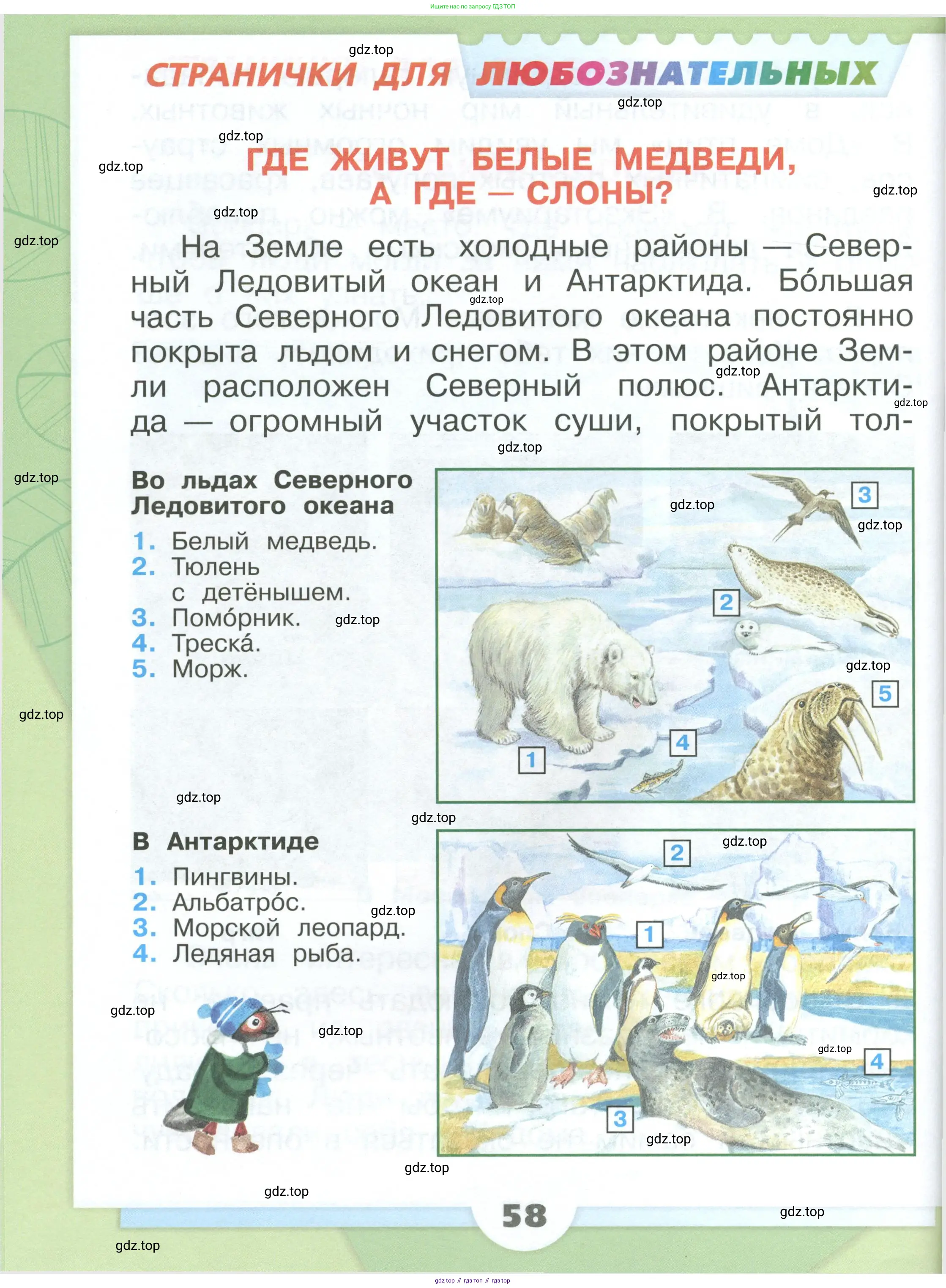 Окружающий мир, 1 класс Учебник, автор: Плешаков Андрей Анатольевич, издательство Просвещение, Москва, 2022, белого цвета, Часть 1, страница 58
