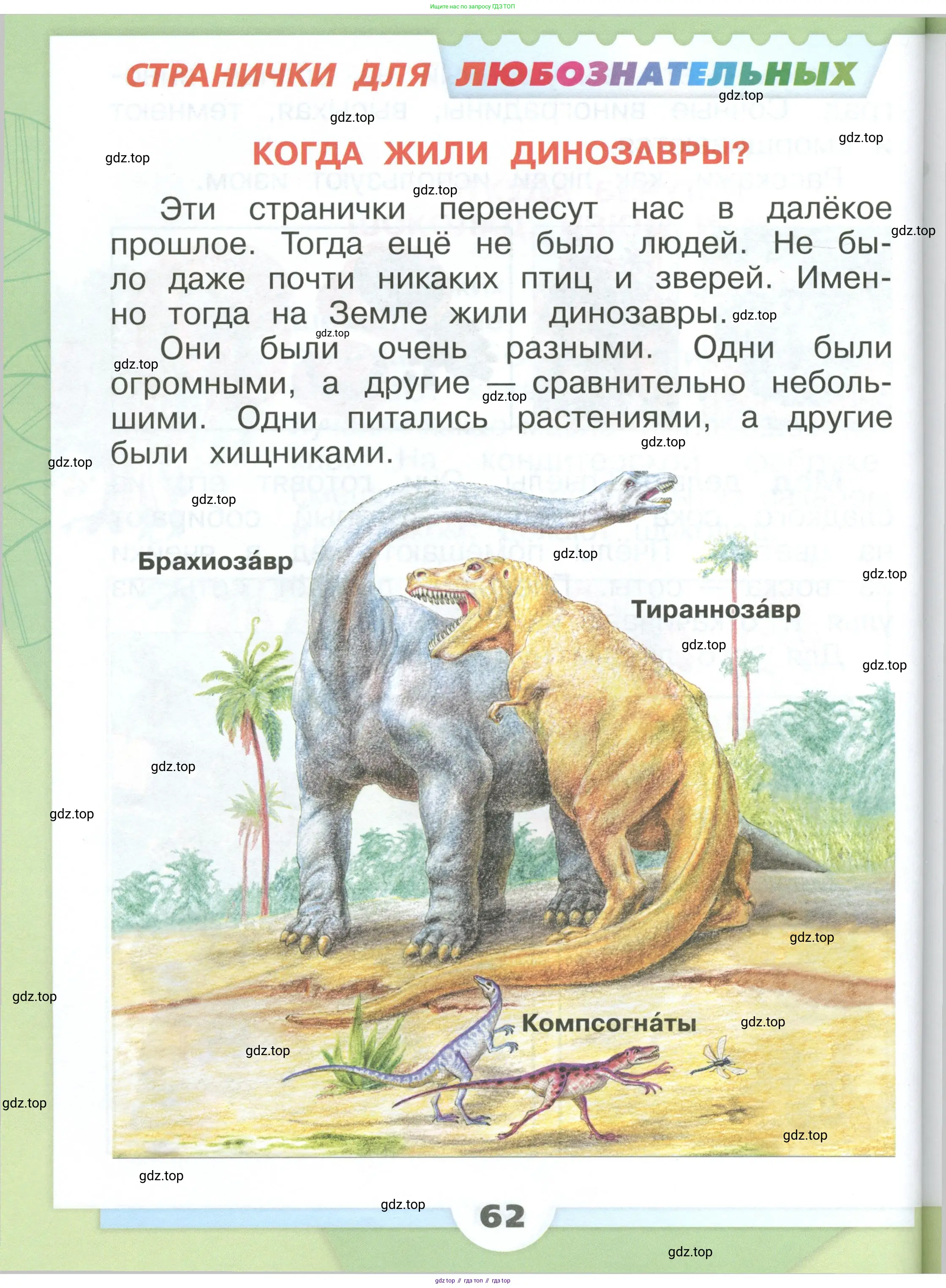 Окружающий мир, 1 класс Учебник, автор: Плешаков Андрей Анатольевич, издательство Просвещение, Москва, 2022, белого цвета, Часть 1, страница 62