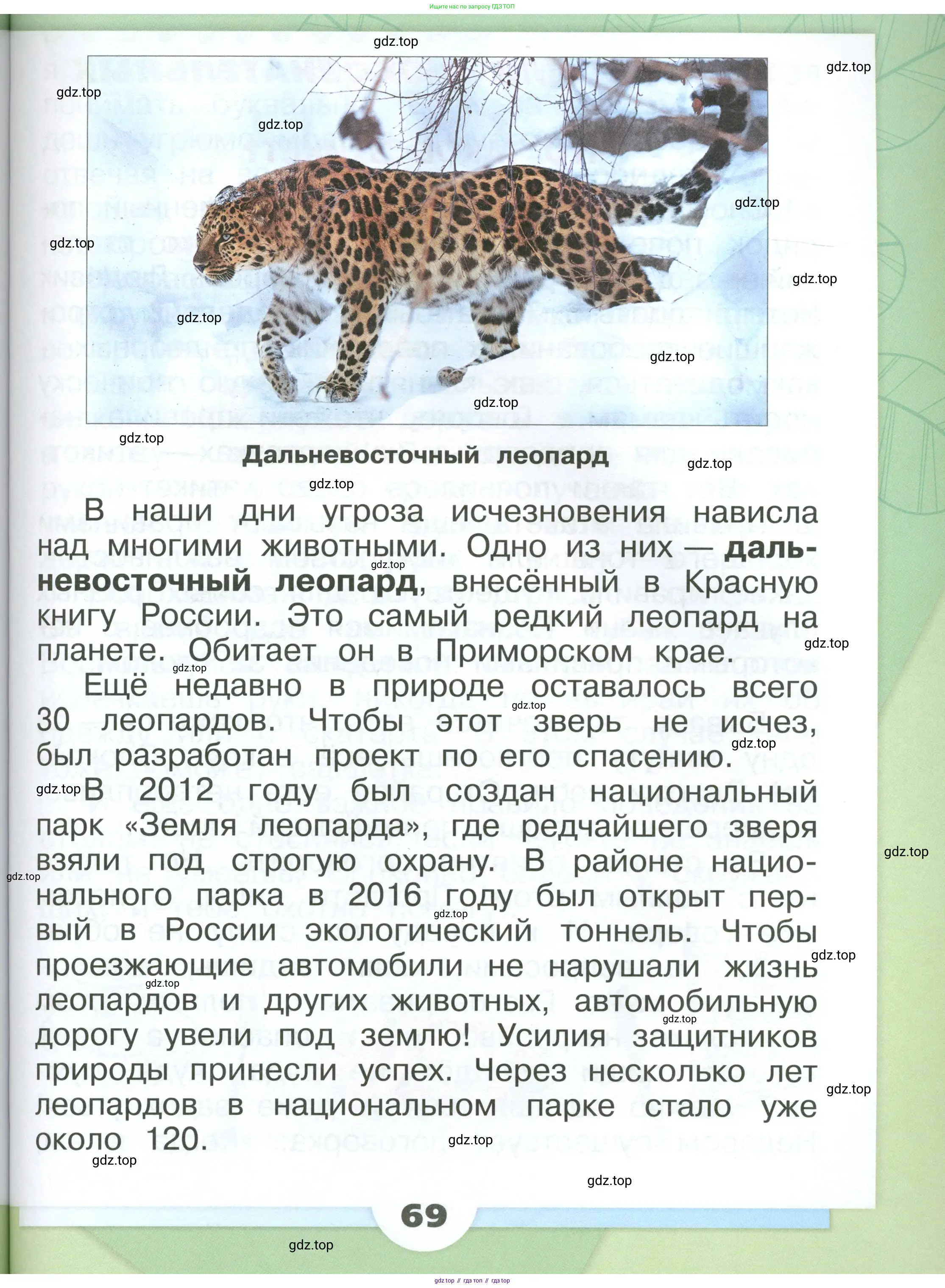 Окружающий мир, 1 класс Учебник, автор: Плешаков Андрей Анатольевич, издательство Просвещение, Москва, 2022, белого цвета, Часть 1, страница 69