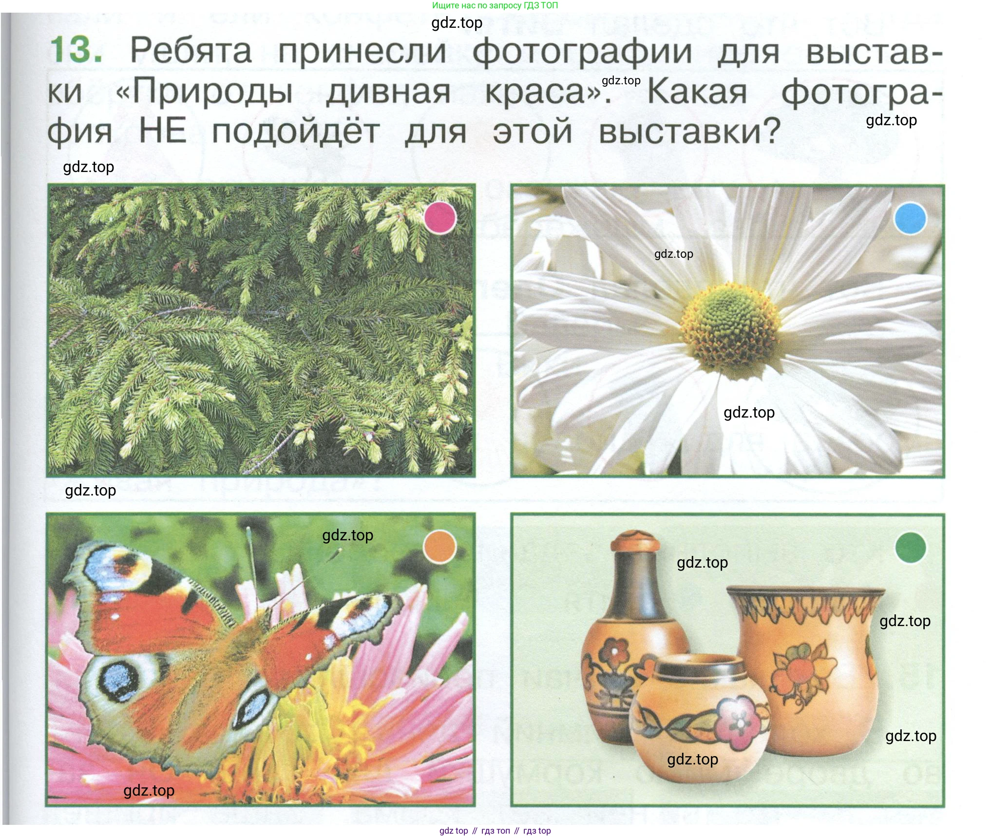 ГДЗ Окружающий мир, 1 класс Учебник, автор: Плешаков Андрей Анатольевич, издательство Просвещение, Москва, 2022, белого цвета, Часть 3, страница 91, номер 13, Условие