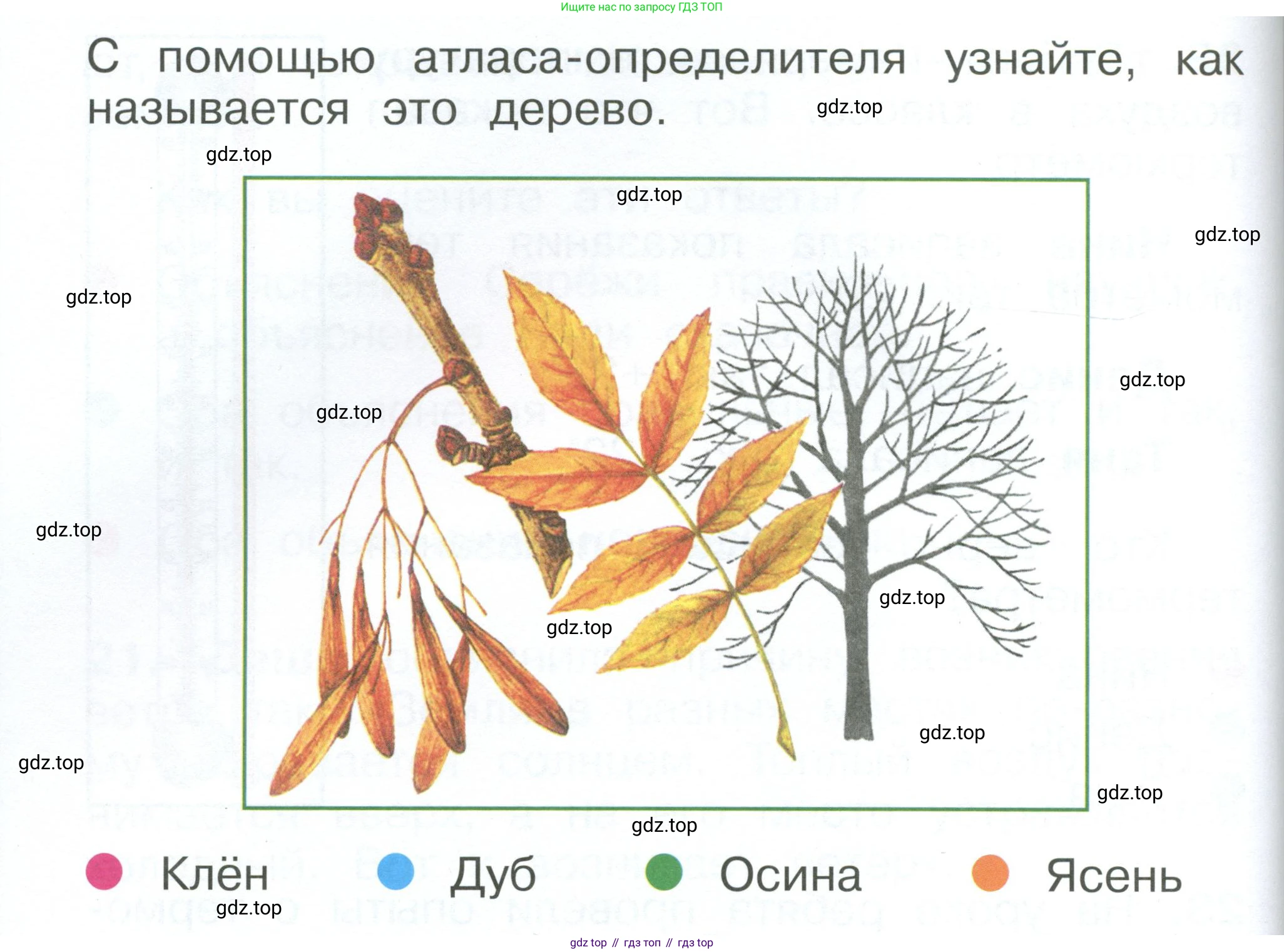 ГДЗ Окружающий мир, 1 класс Учебник, автор: Плешаков Андрей Анатольевич, издательство Просвещение, Москва, 2022, белого цвета, Часть 3, страница 97, номер 24, Условие (продолжение 2)