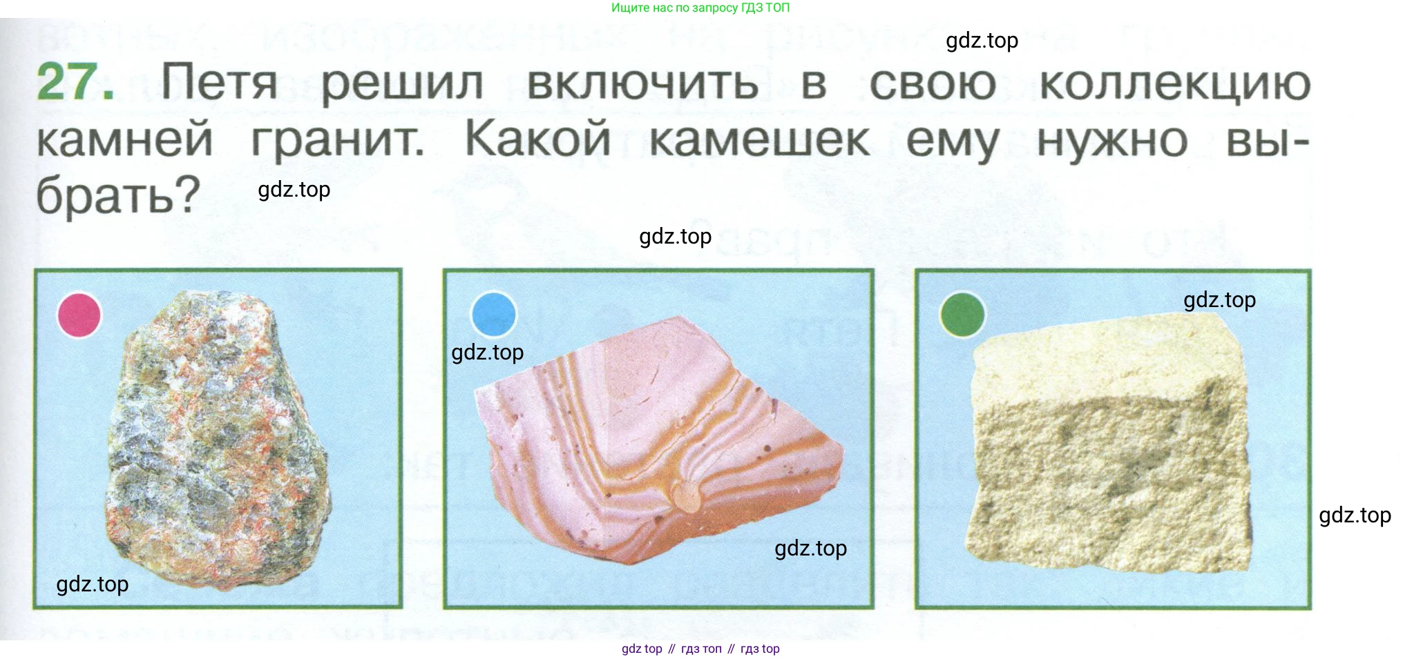 ГДЗ Окружающий мир, 1 класс Учебник, автор: Плешаков Андрей Анатольевич, издательство Просвещение, Москва, 2022, белого цвета, Часть 3, страница 99, номер 27, Условие