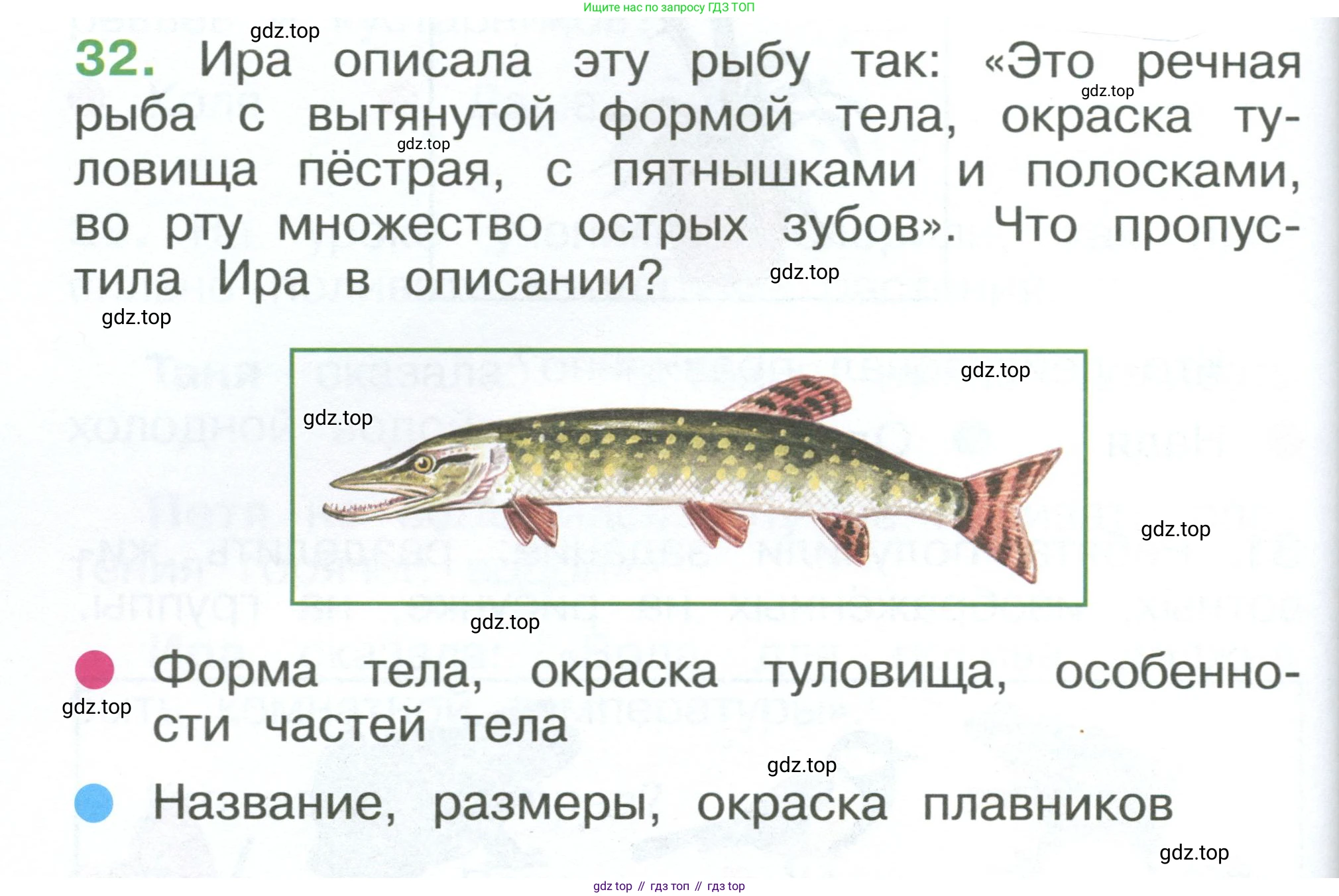 ГДЗ Окружающий мир, 1 класс Учебник, автор: Плешаков Андрей Анатольевич, издательство Просвещение, Москва, 2022, белого цвета, Часть 3, страница 102, номер 32, Условие