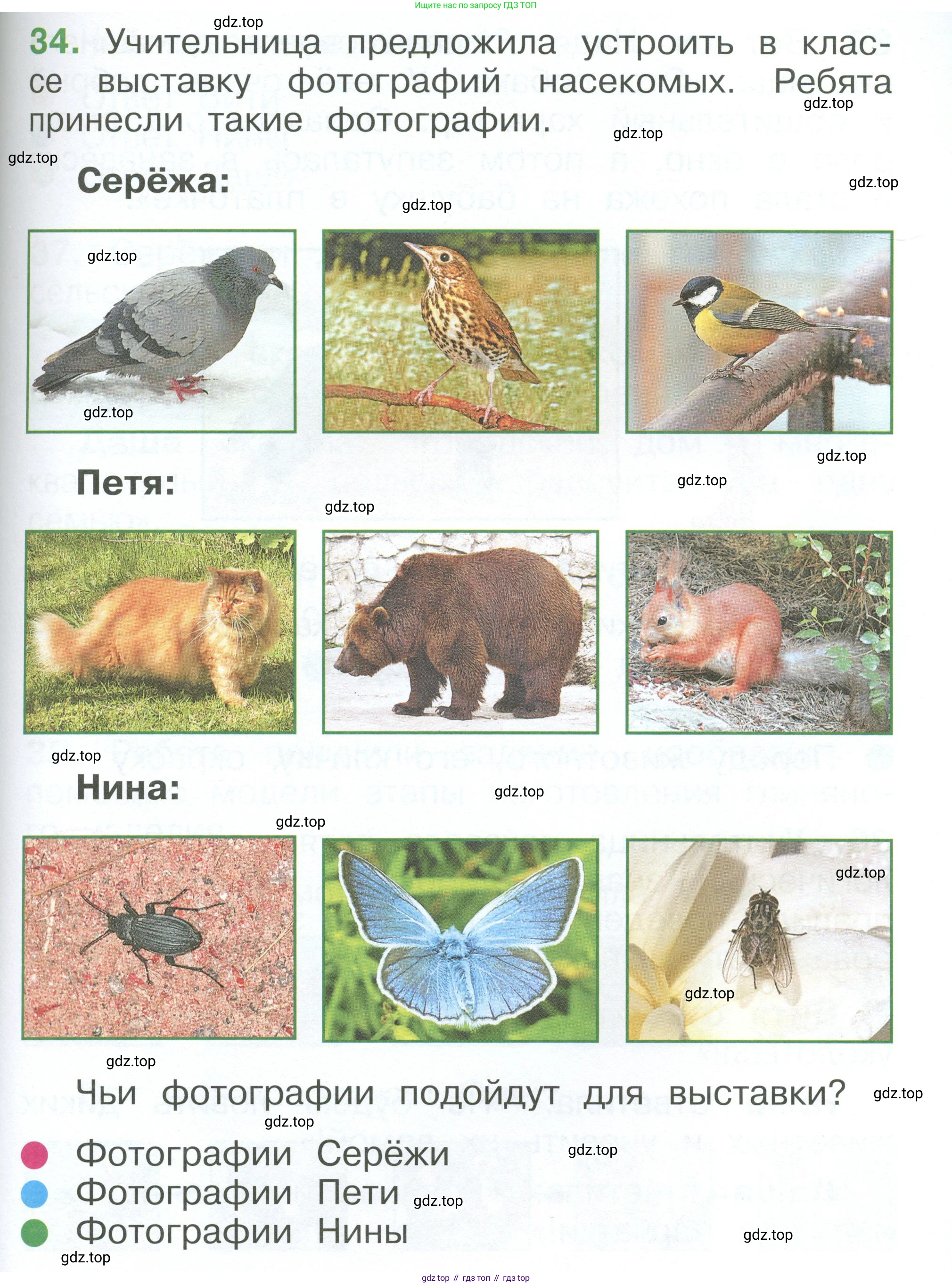 ГДЗ Окружающий мир, 1 класс Учебник, автор: Плешаков Андрей Анатольевич, издательство Просвещение, Москва, 2022, белого цвета, Часть 3, страница 103, номер 34, Условие