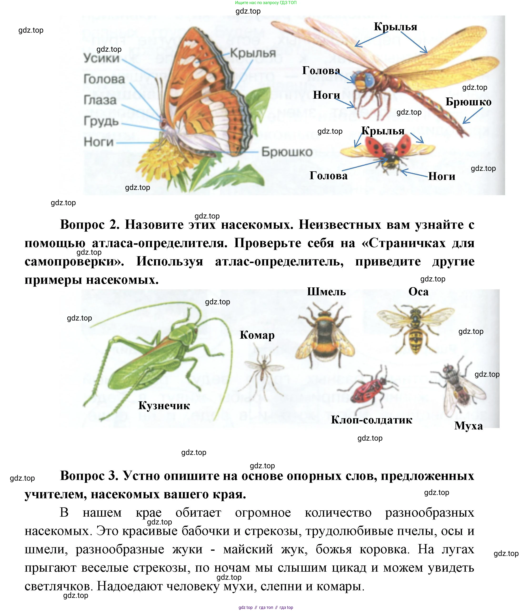 ГДЗ Окружающий мир, 1 класс Учебник, автор: Плешаков Андрей Анатольевич, издательство Просвещение, Москва, 2022, белого цвета, Часть 1, страница 108, Решение (продолжение 2)