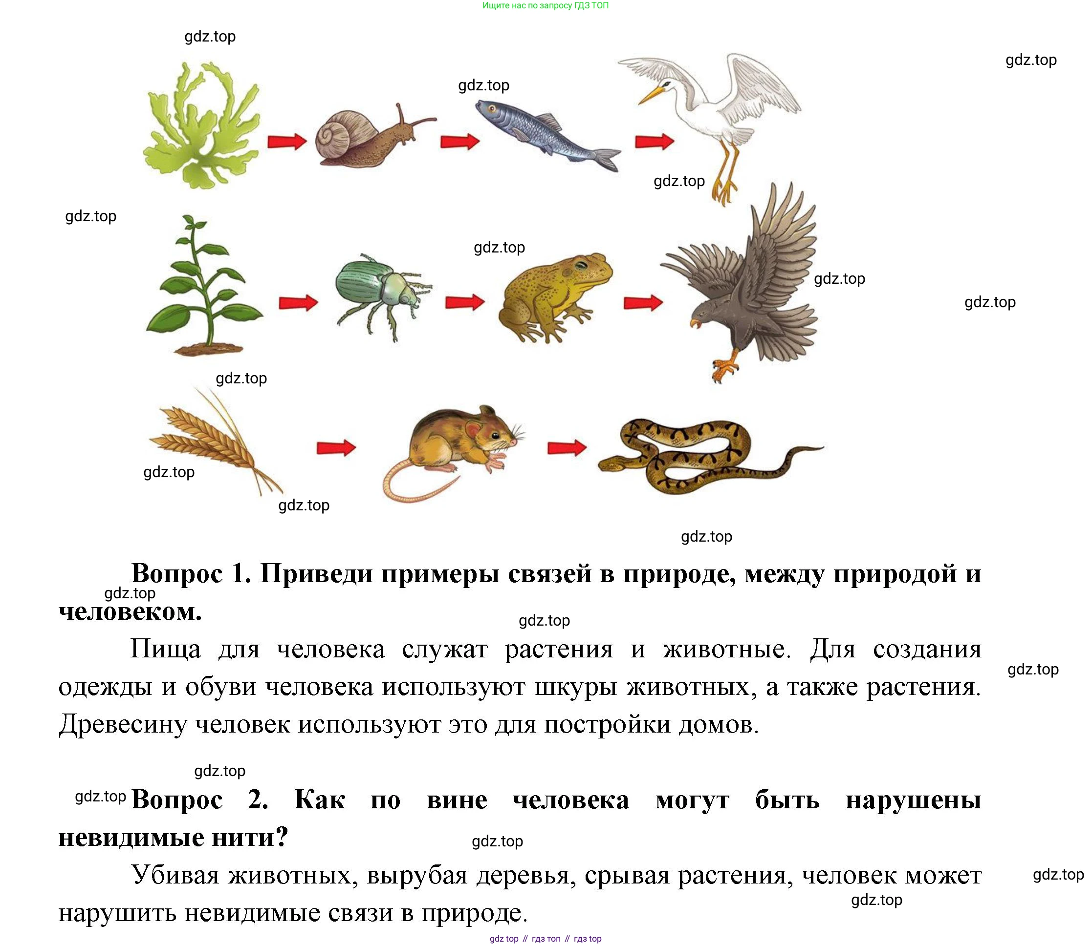 ГДЗ Окружающий мир, 1 класс Учебник, автор: Плешаков Андрей Анатольевич, издательство Просвещение, Москва, 2022, белого цвета, Часть 1, страница 115, Решение (продолжение 2)