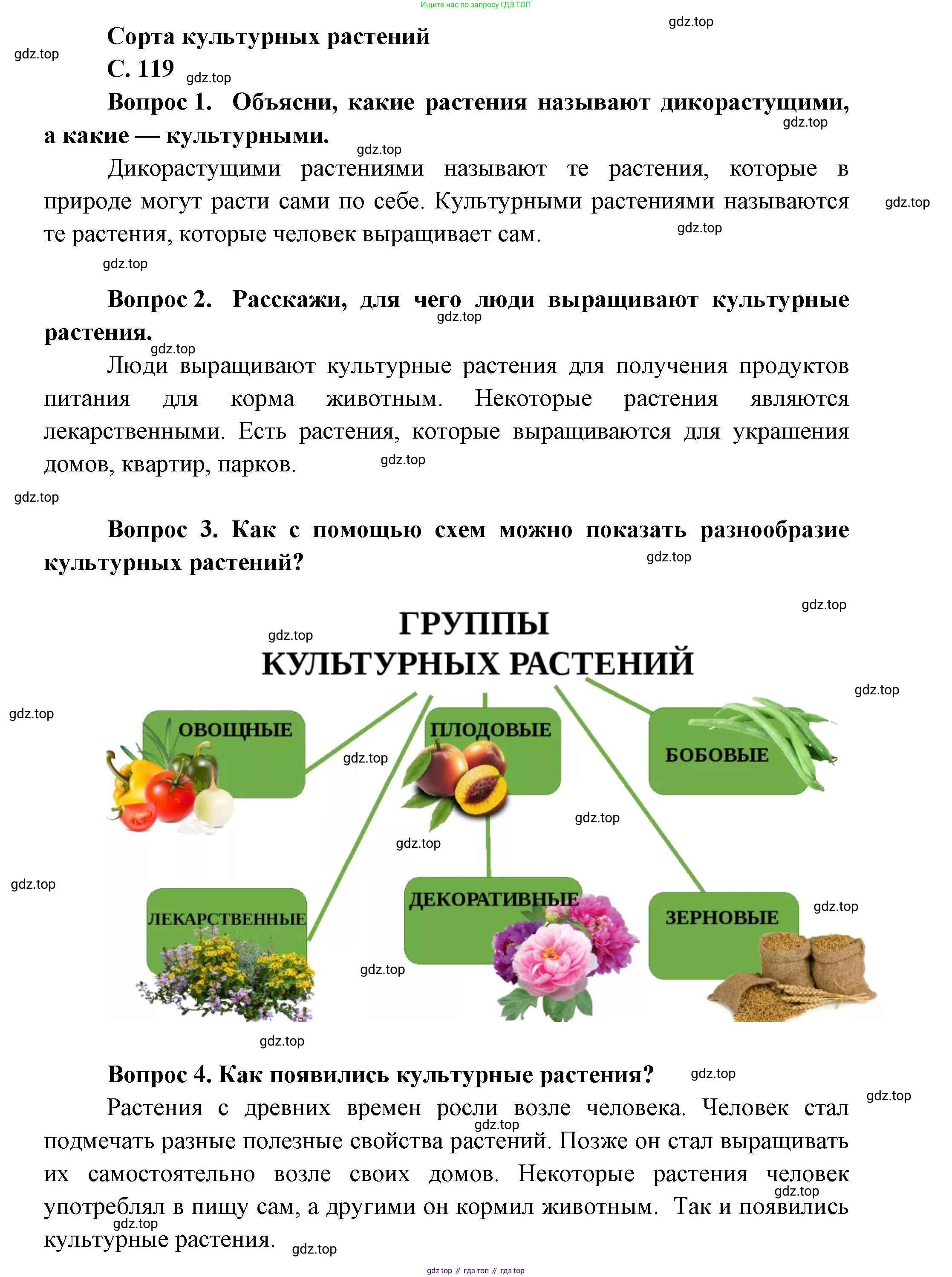 ГДЗ Окружающий мир, 1 класс Учебник, автор: Плешаков Андрей Анатольевич, издательство Просвещение, Москва, 2022, белого цвета, Часть 1, страница 119, Решение