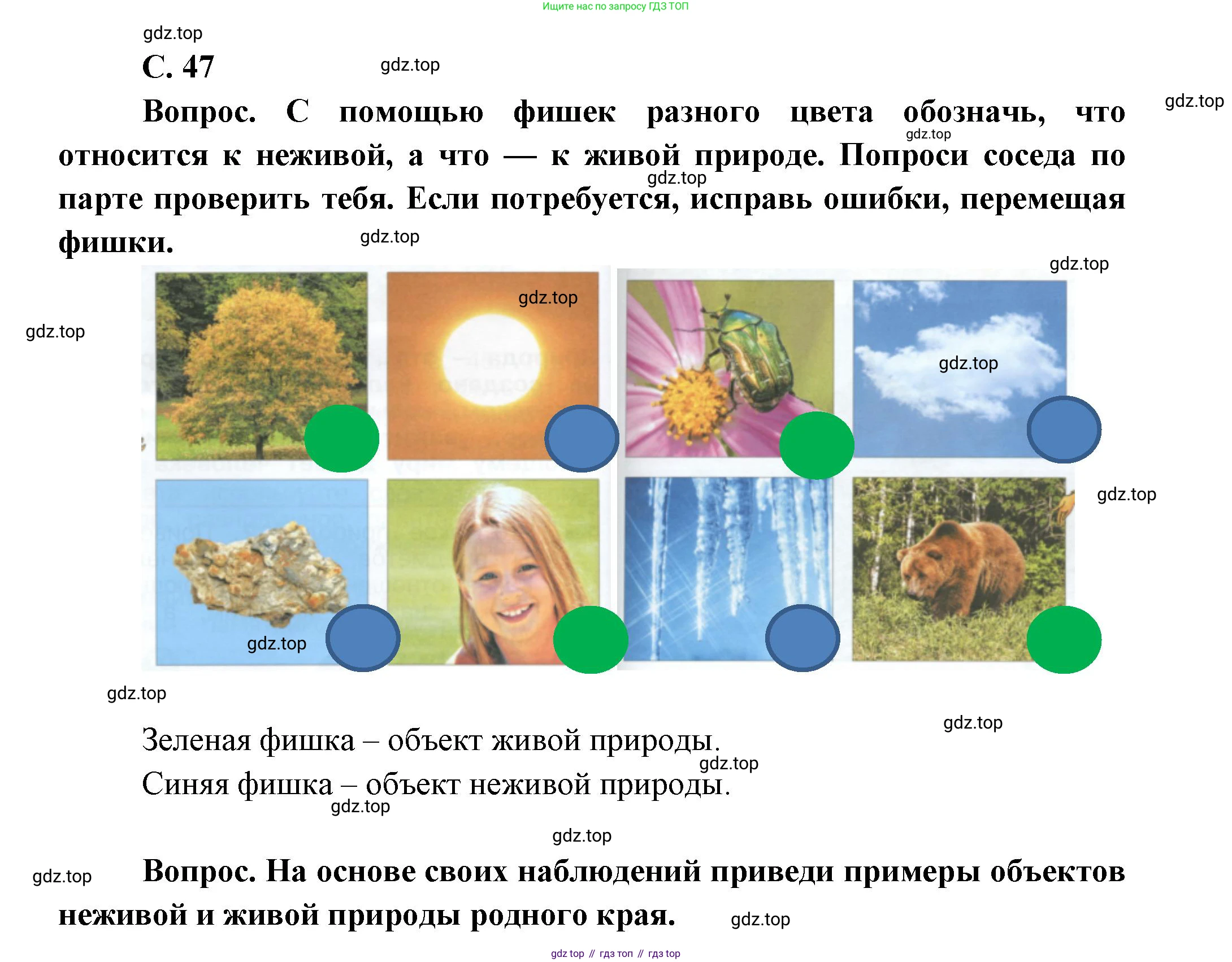ГДЗ Окружающий мир, 1 класс Учебник, автор: Плешаков Андрей Анатольевич, издательство Просвещение, Москва, 2022, белого цвета, Часть 1, страница 47, Решение