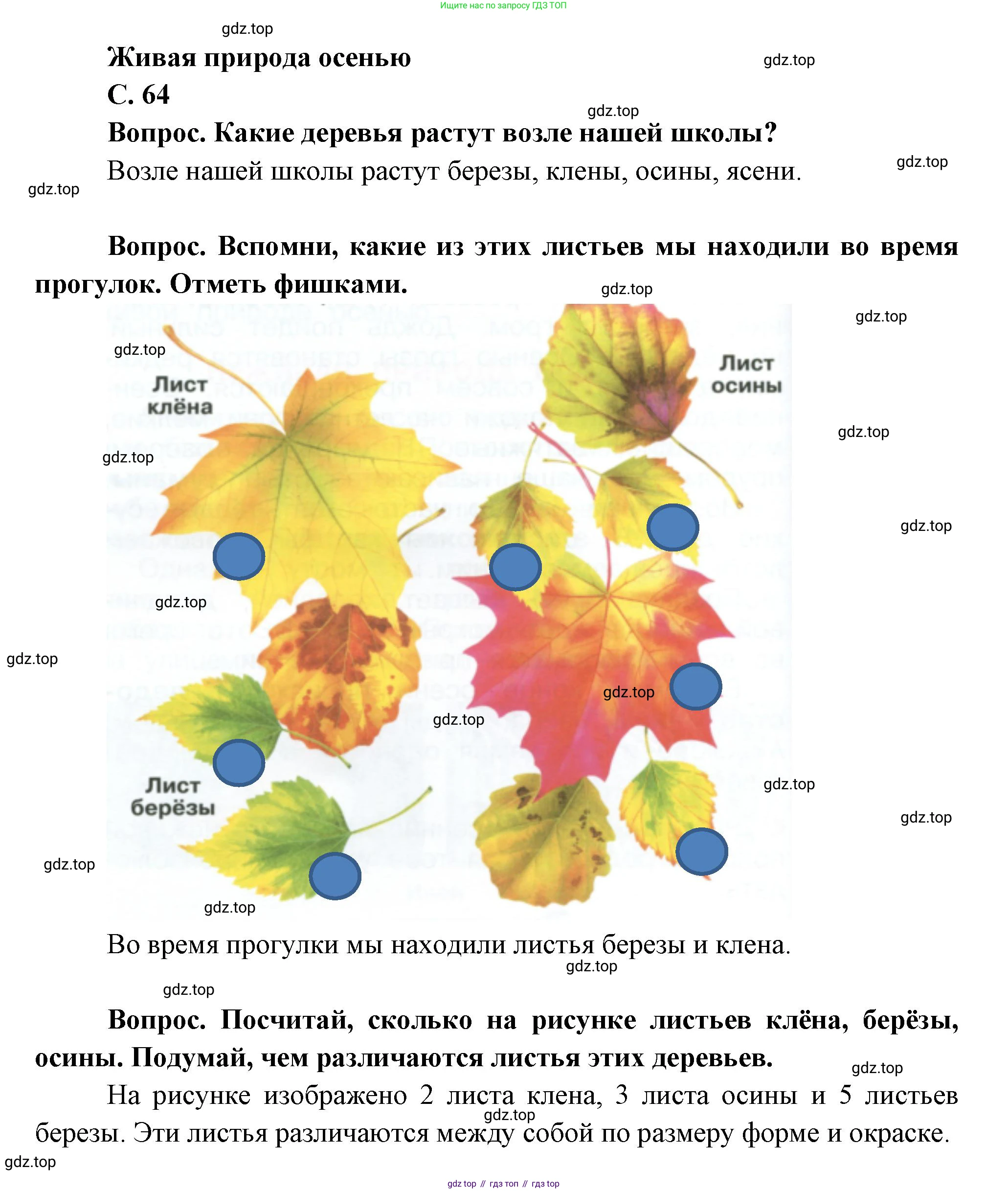 ГДЗ Окружающий мир, 1 класс Учебник, автор: Плешаков Андрей Анатольевич, издательство Просвещение, Москва, 2022, белого цвета, Часть 1, страница 64, Решение