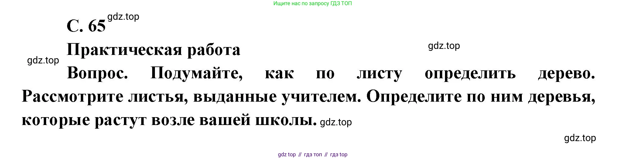 ГДЗ Окружающий мир, 1 класс Учебник, автор: Плешаков Андрей Анатольевич, издательство Просвещение, Москва, 2022, белого цвета, Часть 1, страница 65, Решение