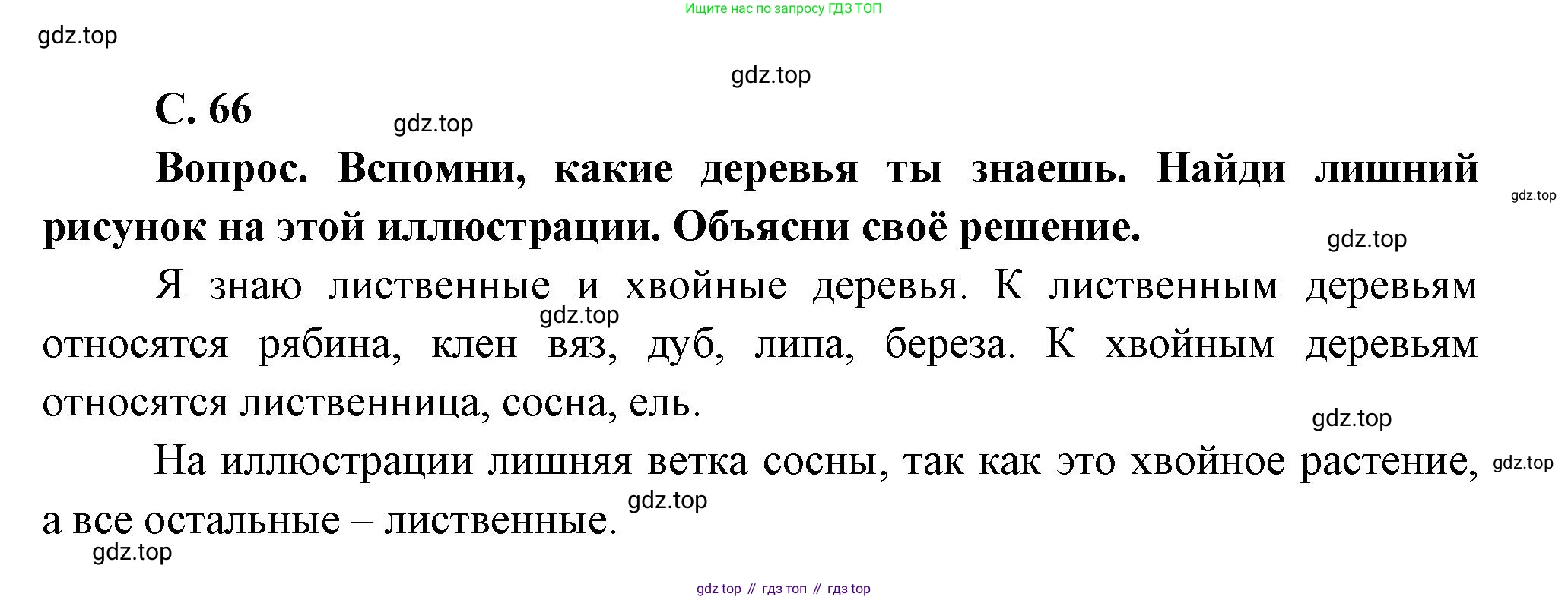ГДЗ Окружающий мир, 1 класс Учебник, автор: Плешаков Андрей Анатольевич, издательство Просвещение, Москва, 2022, белого цвета, Часть 1, страница 66, Решение