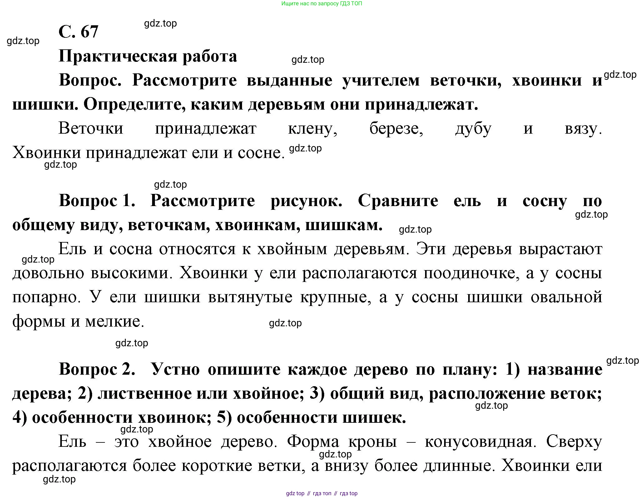 ГДЗ Окружающий мир, 1 класс Учебник, автор: Плешаков Андрей Анатольевич, издательство Просвещение, Москва, 2022, белого цвета, Часть 1, страница 67, Решение