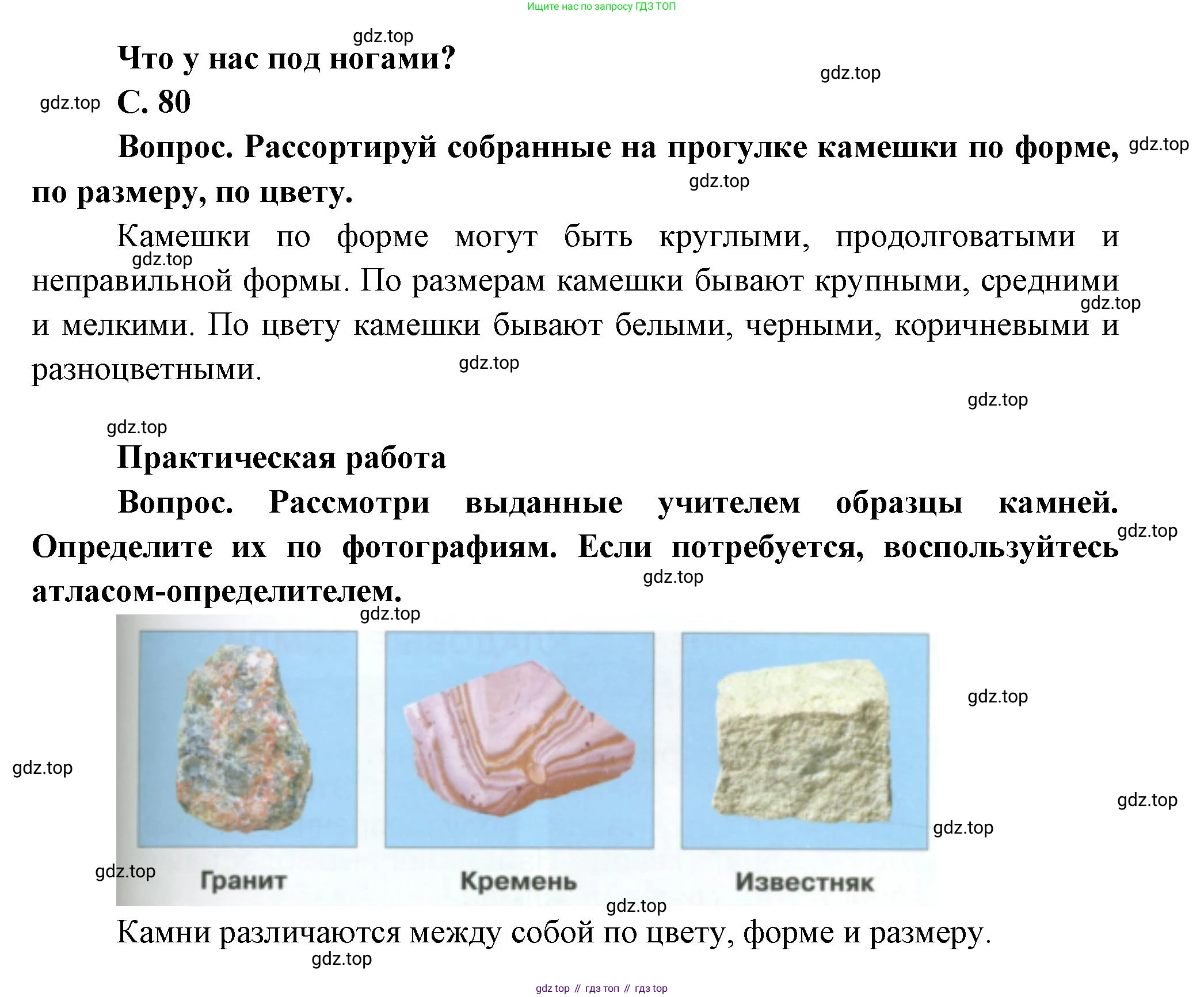 ГДЗ Окружающий мир, 1 класс Учебник, автор: Плешаков Андрей Анатольевич, издательство Просвещение, Москва, 2022, белого цвета, Часть 1, страница 80, Решение