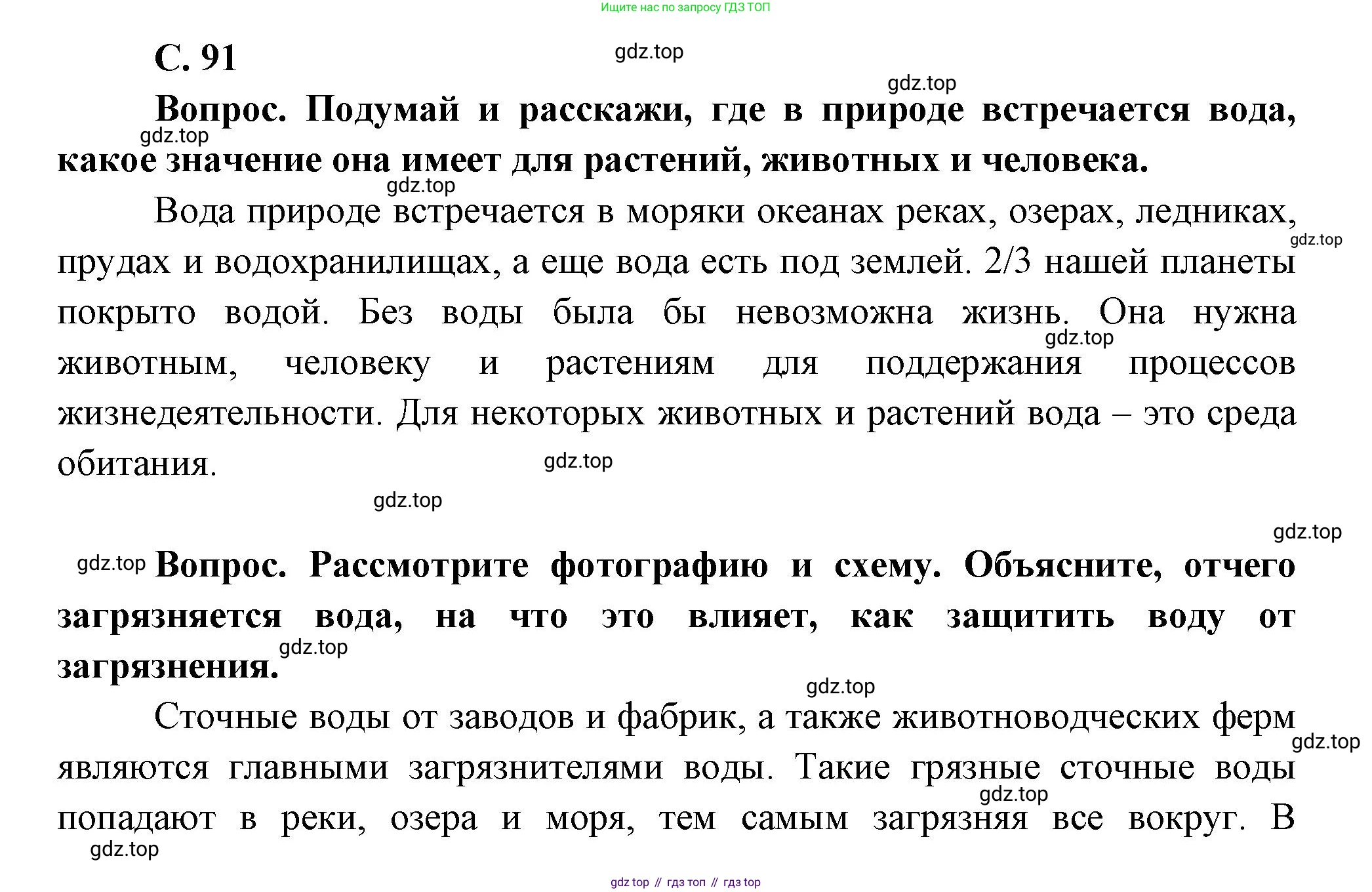 ГДЗ Окружающий мир, 1 класс Учебник, автор: Плешаков Андрей Анатольевич, издательство Просвещение, Москва, 2022, белого цвета, Часть 1, страница 91, Решение