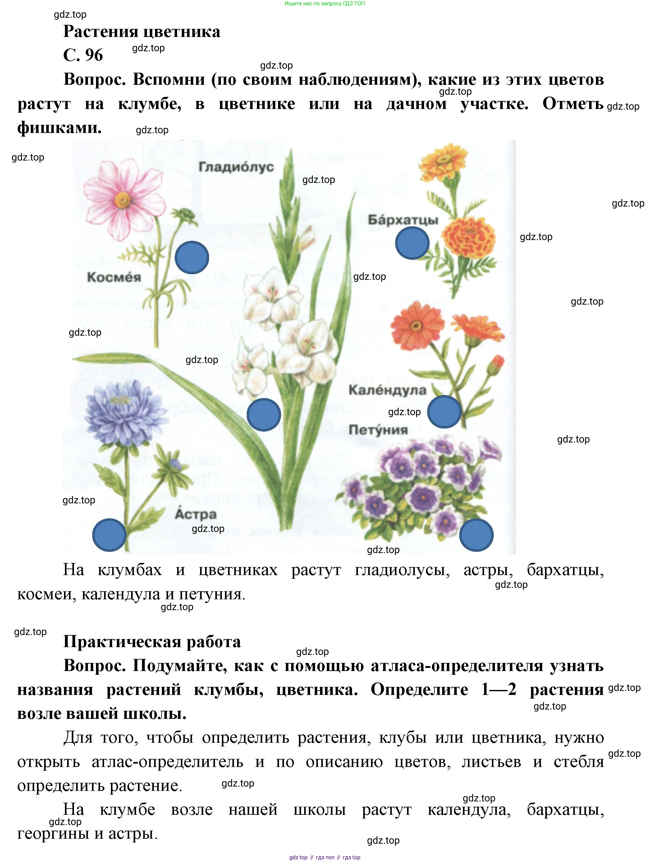 ГДЗ Окружающий мир, 1 класс Учебник, автор: Плешаков Андрей Анатольевич, издательство Просвещение, Москва, 2022, белого цвета, Часть 1, страница 96, Решение
