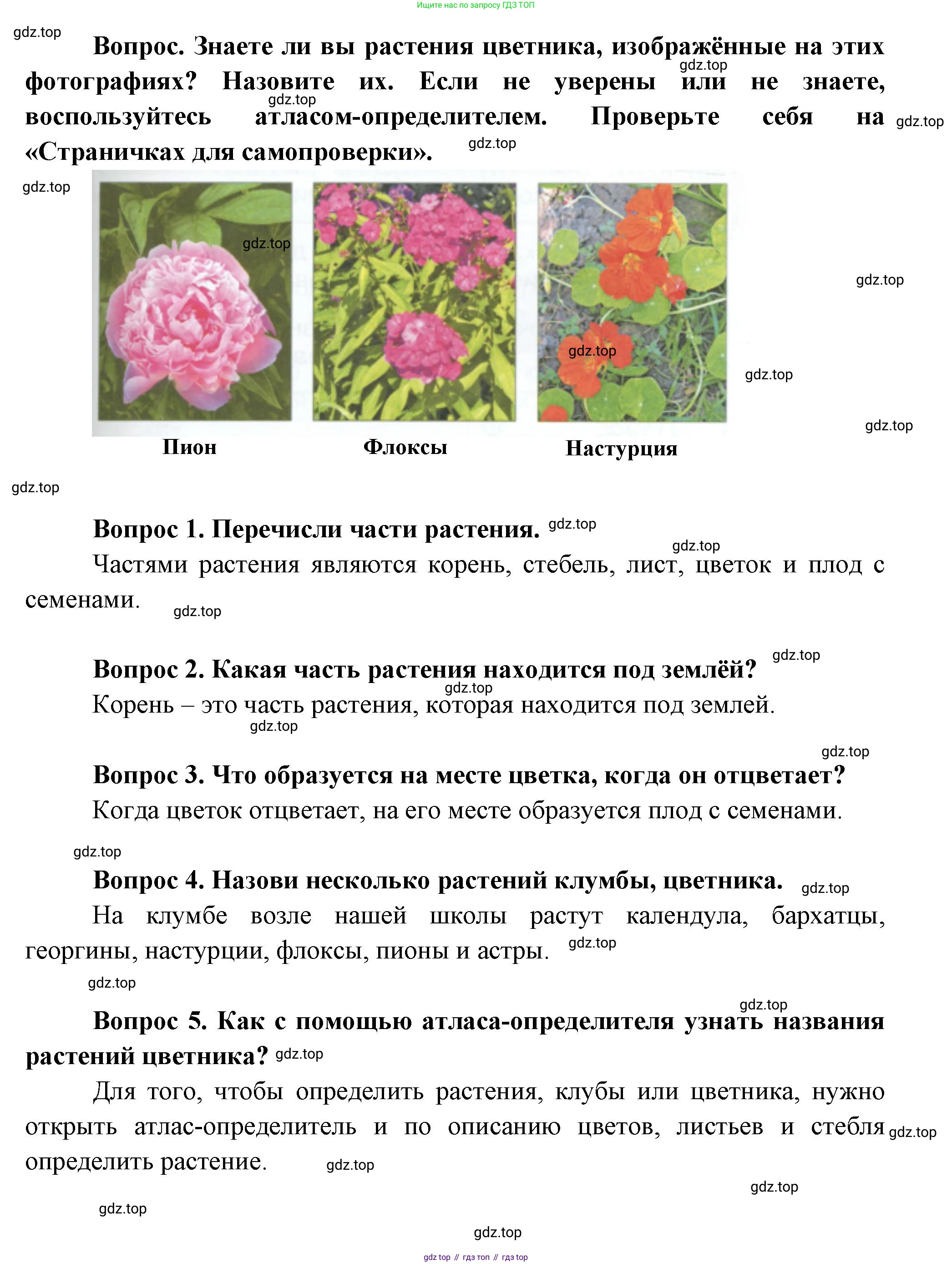 ГДЗ Окружающий мир, 1 класс Учебник, автор: Плешаков Андрей Анатольевич, издательство Просвещение, Москва, 2022, белого цвета, Часть 1, страница 97, Решение