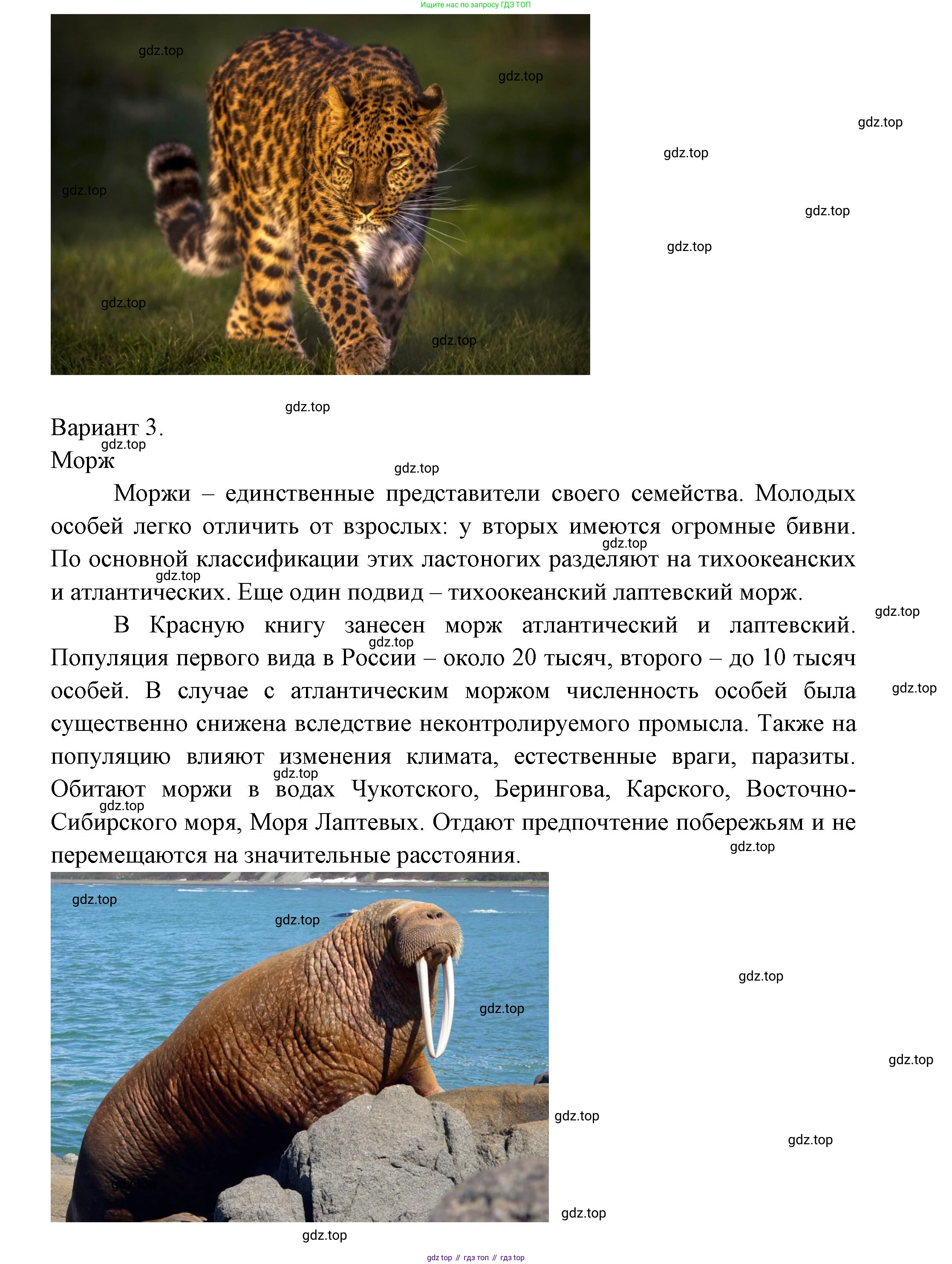 ГДЗ Окружающий мир, 1 класс Учебник, автор: Плешаков Андрей Анатольевич, издательство Просвещение, Москва, 2022, белого цвета, Часть 2, страница 15, Решение (продолжение 3)