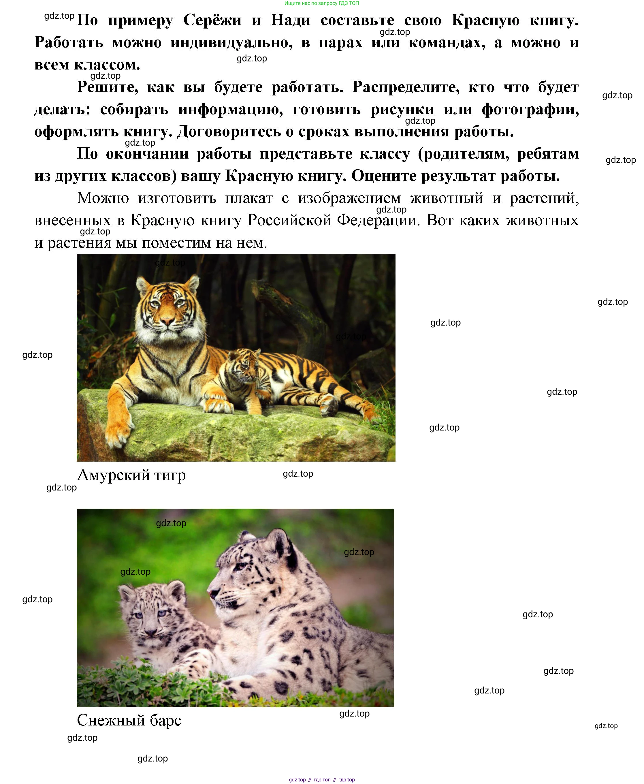 ГДЗ Окружающий мир, 1 класс Учебник, автор: Плешаков Андрей Анатольевич, издательство Просвещение, Москва, 2022, белого цвета, Часть 2, страница 16, Решение (продолжение 2)