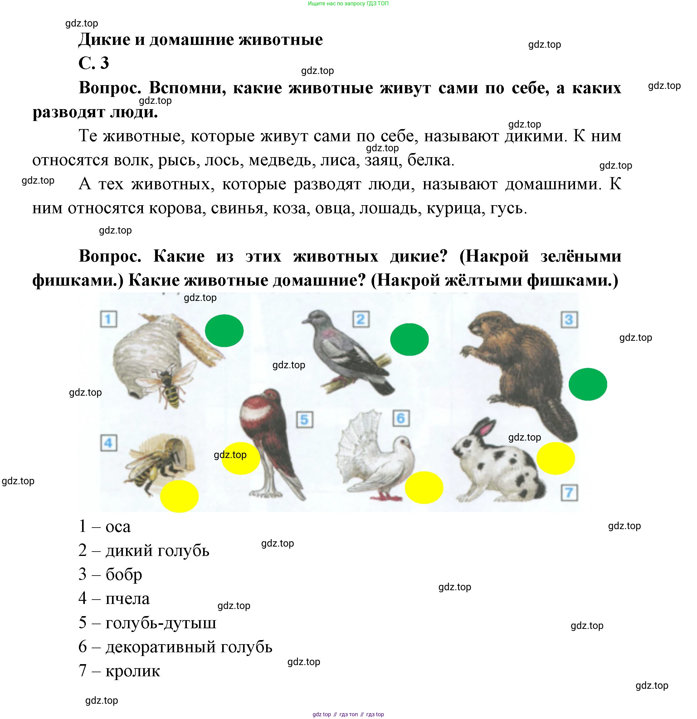 ГДЗ Окружающий мир, 1 класс Учебник, автор: Плешаков Андрей Анатольевич, издательство Просвещение, Москва, 2022, белого цвета, Часть 2, страница 3, Решение