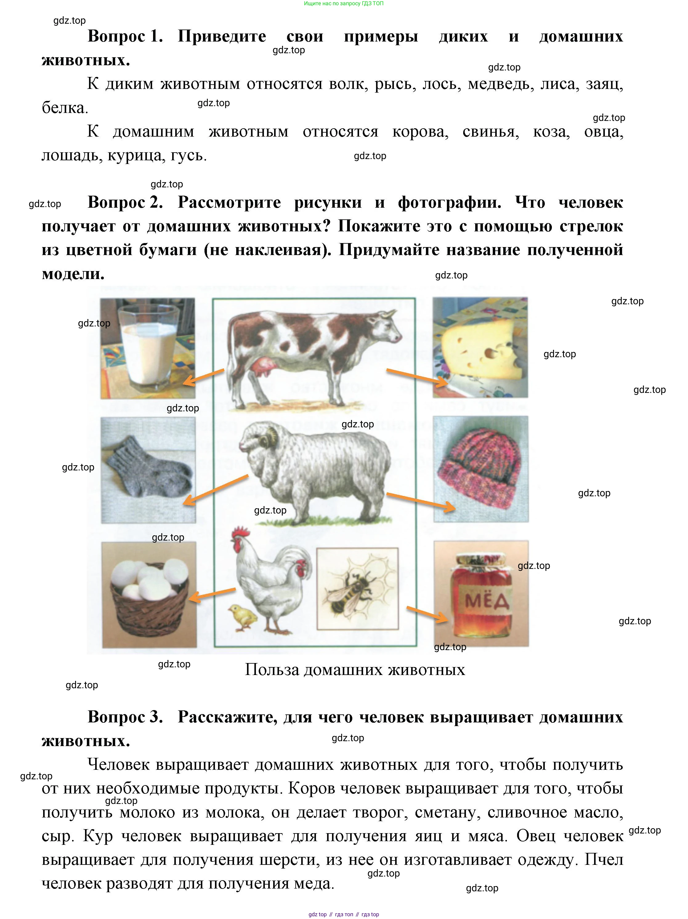 ГДЗ Окружающий мир, 1 класс Учебник, автор: Плешаков Андрей Анатольевич, издательство Просвещение, Москва, 2022, белого цвета, Часть 2, страница 4, Решение