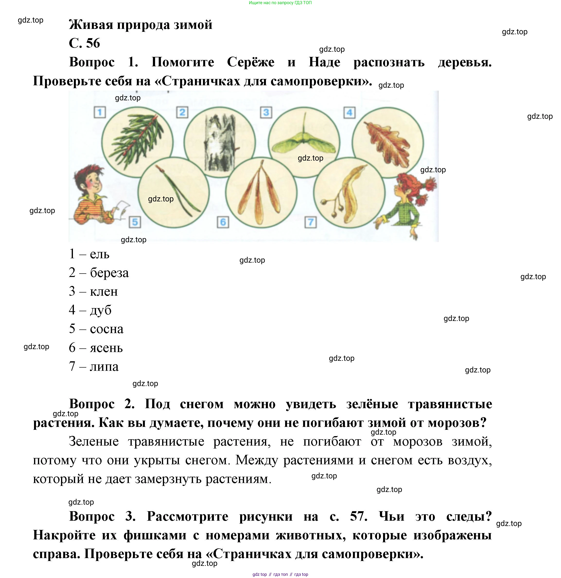ГДЗ Окружающий мир, 1 класс Учебник, автор: Плешаков Андрей Анатольевич, издательство Просвещение, Москва, 2022, белого цвета, Часть 2, страница 56, Решение