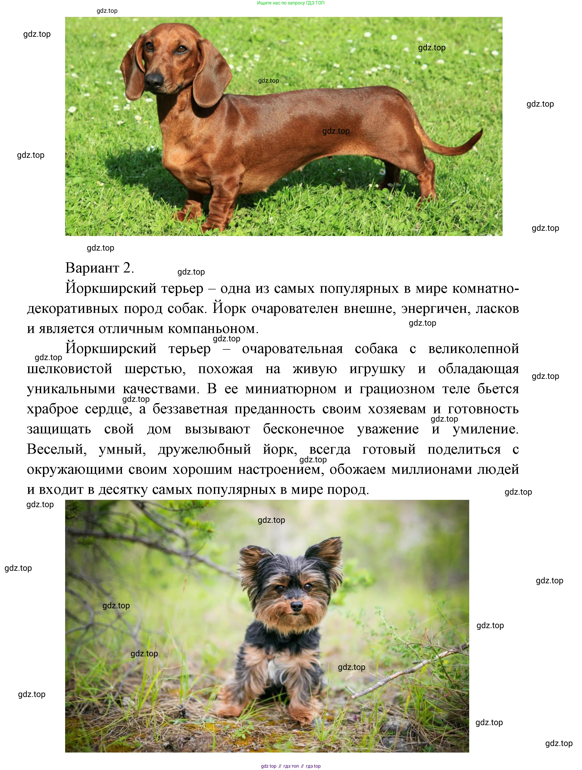 ГДЗ Окружающий мир, 1 класс Учебник, автор: Плешаков Андрей Анатольевич, издательство Просвещение, Москва, 2022, белого цвета, Часть 2, страница 9, Решение (продолжение 2)