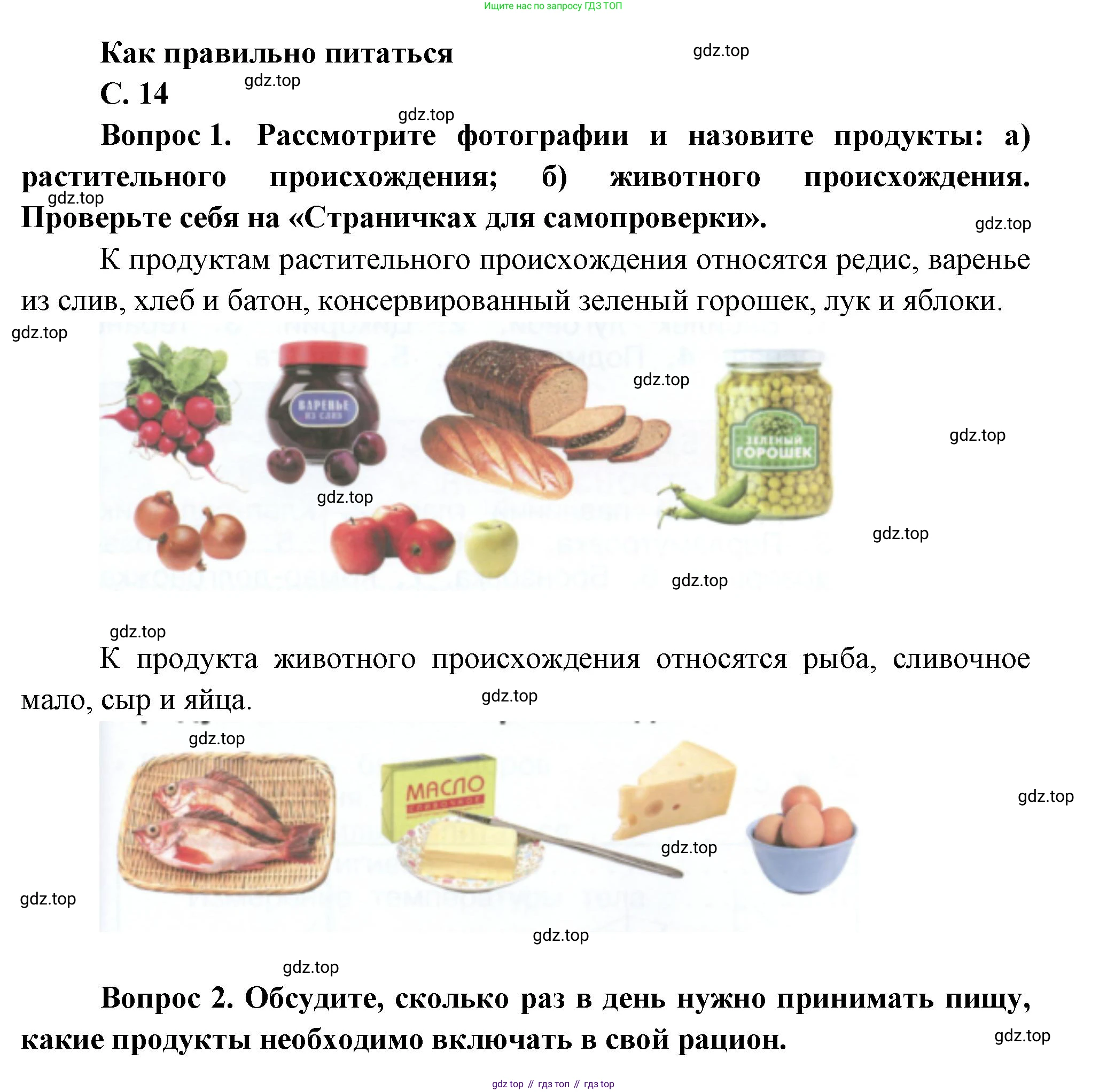 ГДЗ Окружающий мир, 1 класс Учебник, автор: Плешаков Андрей Анатольевич, издательство Просвещение, Москва, 2022, белого цвета, Часть 3, страница 14, Решение