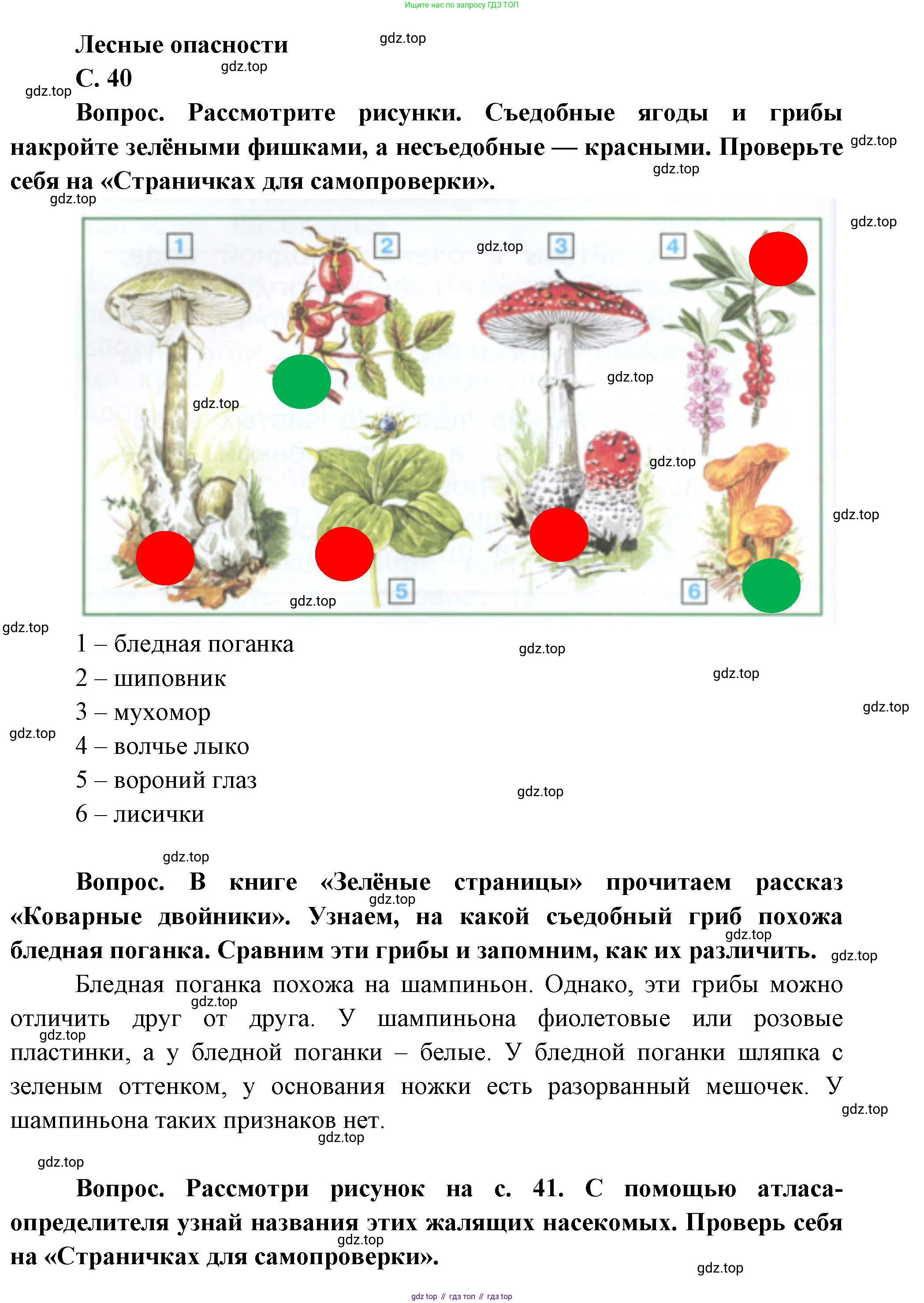 ГДЗ Окружающий мир, 1 класс Учебник, автор: Плешаков Андрей Анатольевич, издательство Просвещение, Москва, 2022, белого цвета, Часть 3, страница 40, Решение