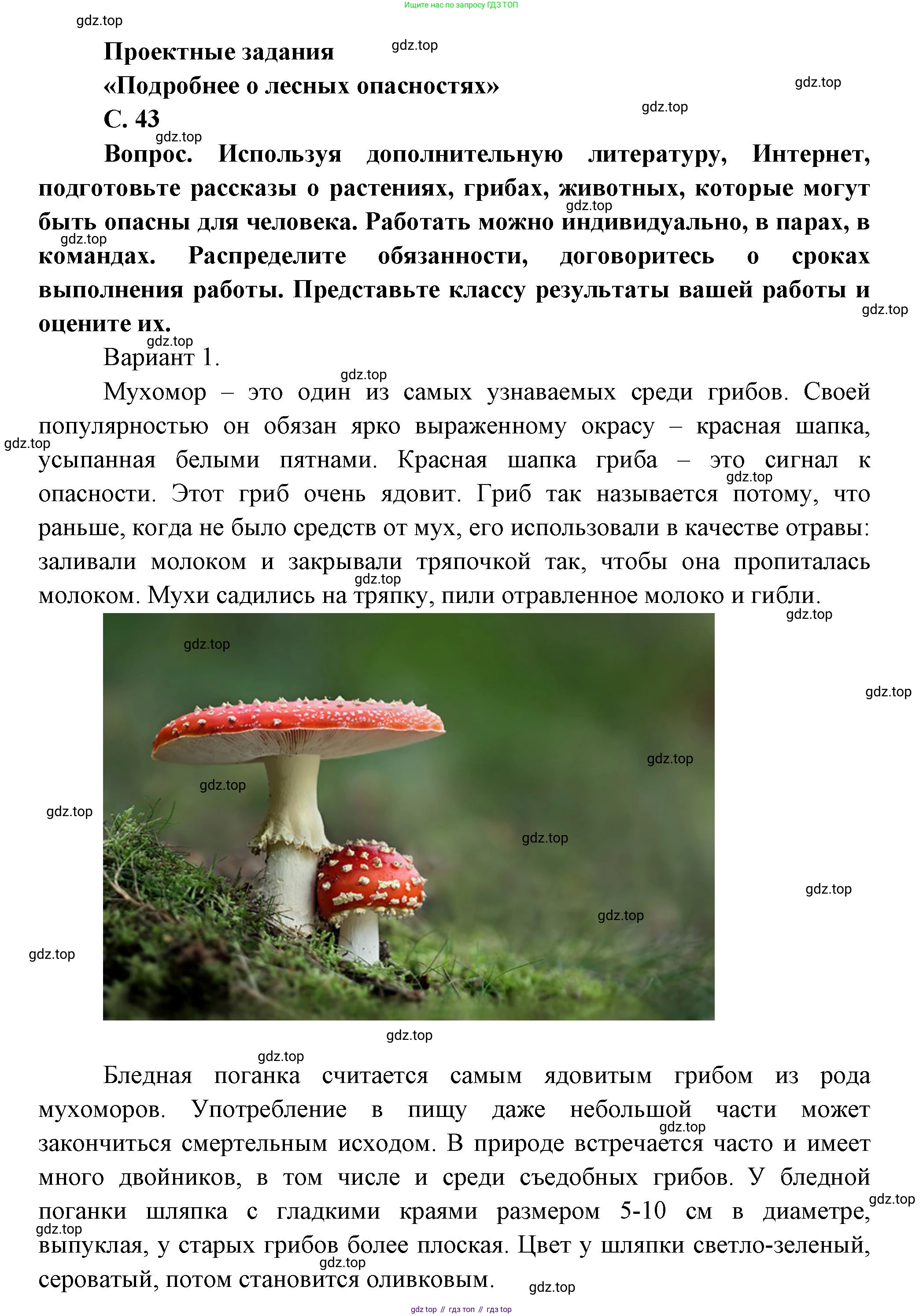 ГДЗ Окружающий мир, 1 класс Учебник, автор: Плешаков Андрей Анатольевич, издательство Просвещение, Москва, 2022, белого цвета, Часть 3, страница 43, Решение