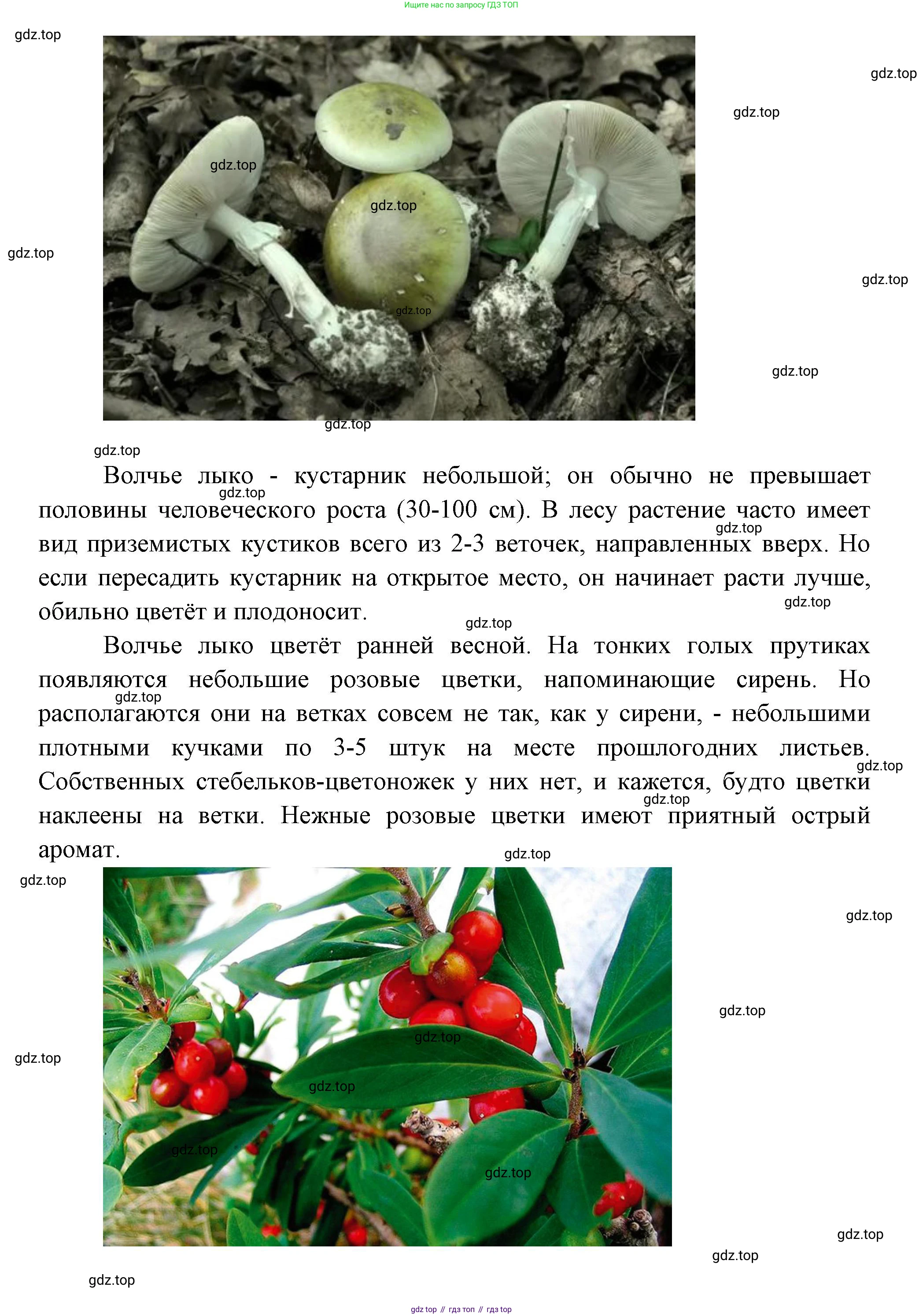 ГДЗ Окружающий мир, 1 класс Учебник, автор: Плешаков Андрей Анатольевич, издательство Просвещение, Москва, 2022, белого цвета, Часть 3, страница 43, Решение (продолжение 2)