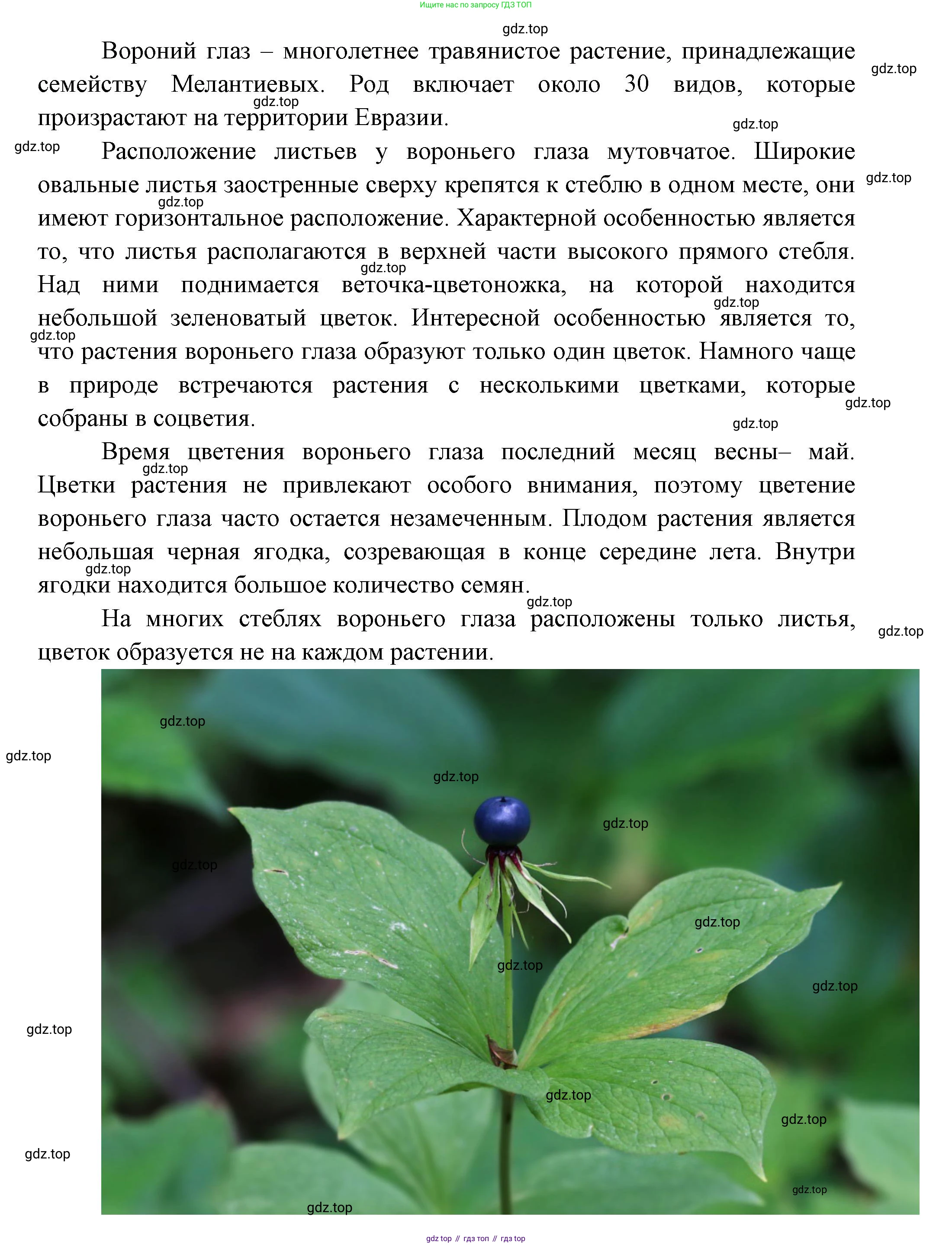 ГДЗ Окружающий мир, 1 класс Учебник, автор: Плешаков Андрей Анатольевич, издательство Просвещение, Москва, 2022, белого цвета, Часть 3, страница 43, Решение (продолжение 3)