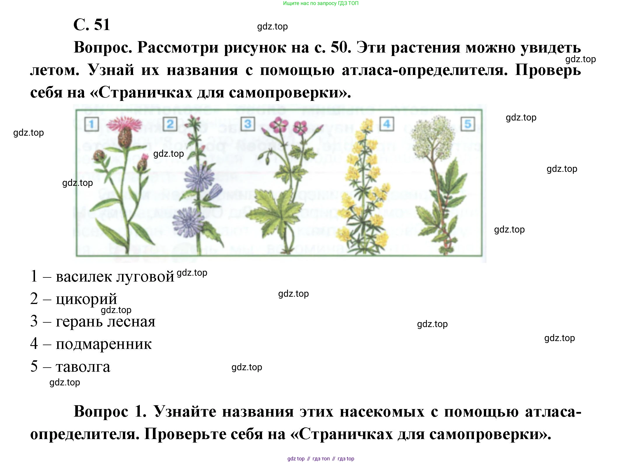 ГДЗ Окружающий мир, 1 класс Учебник, автор: Плешаков Андрей Анатольевич, издательство Просвещение, Москва, 2022, белого цвета, Часть 3, страница 51, Решение