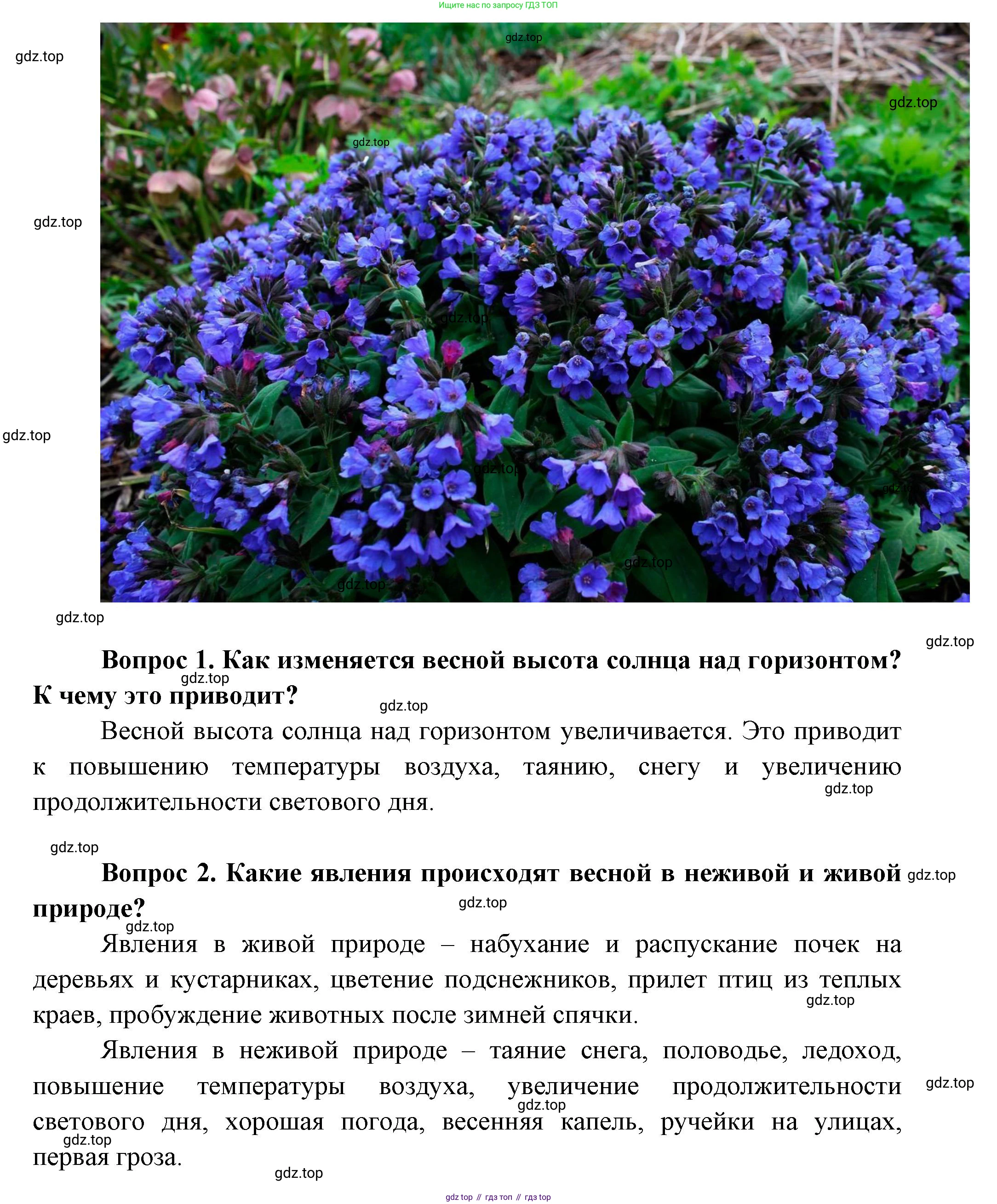 ГДЗ Окружающий мир, 1 класс Учебник, автор: Плешаков Андрей Анатольевич, издательство Просвещение, Москва, 2022, белого цвета, Часть 3, страница 6, Решение (продолжение 5)