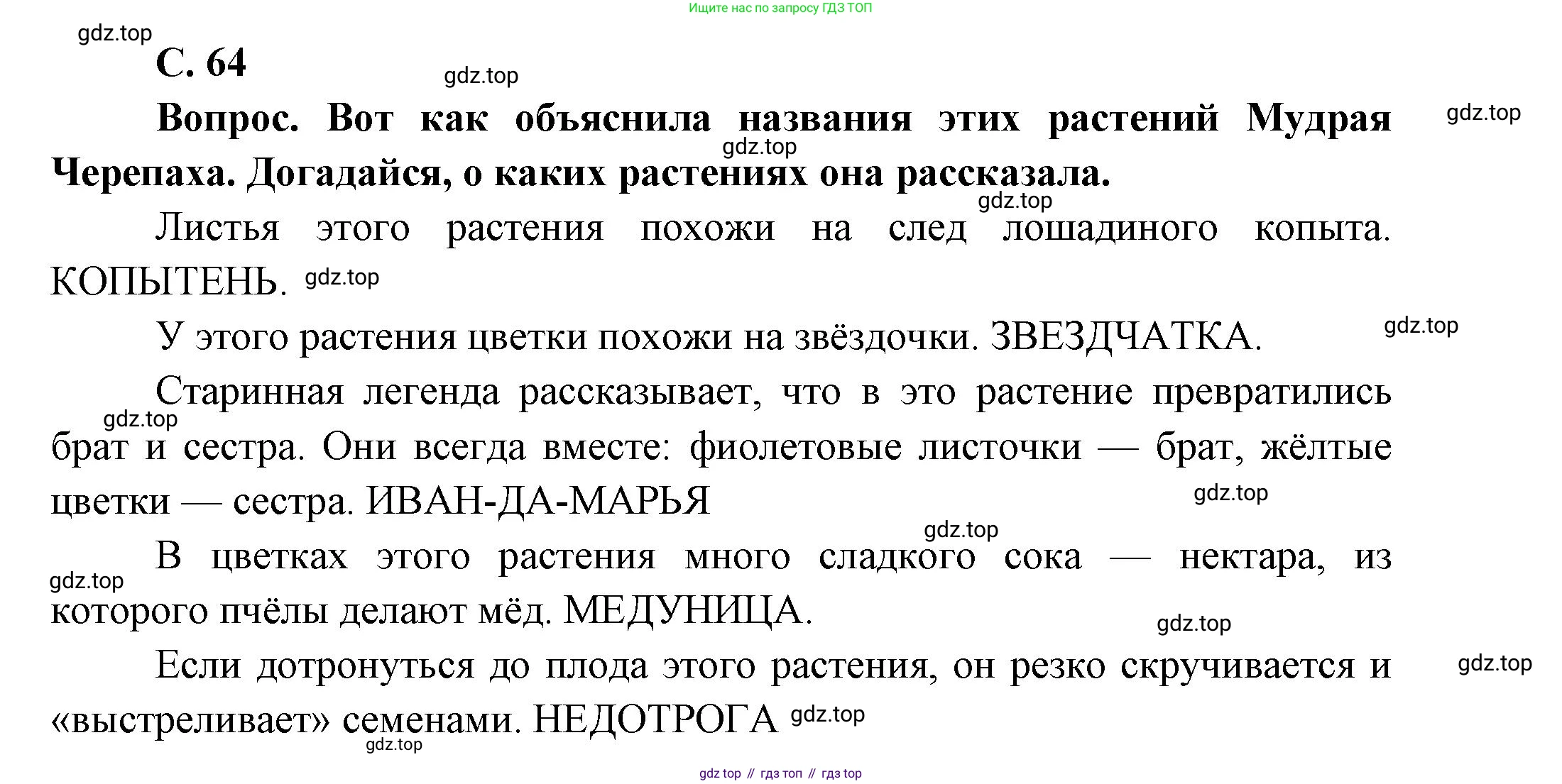 ГДЗ Окружающий мир, 1 класс Учебник, автор: Плешаков Андрей Анатольевич, издательство Просвещение, Москва, 2022, белого цвета, Часть 3, страница 64, Решение