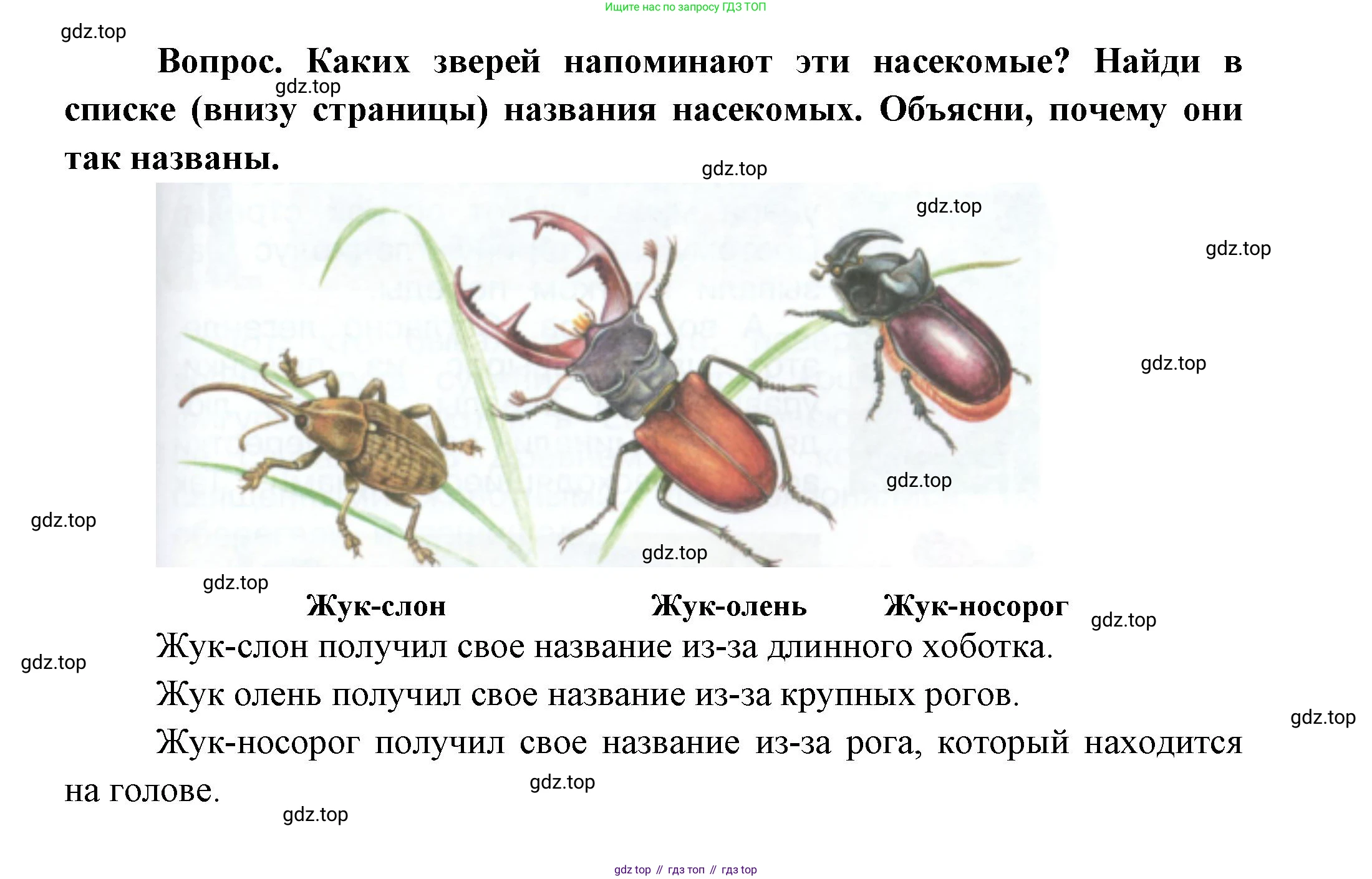 ГДЗ Окружающий мир, 1 класс Учебник, автор: Плешаков Андрей Анатольевич, издательство Просвещение, Москва, 2022, белого цвета, Часть 3, страница 65, Решение (продолжение 2)