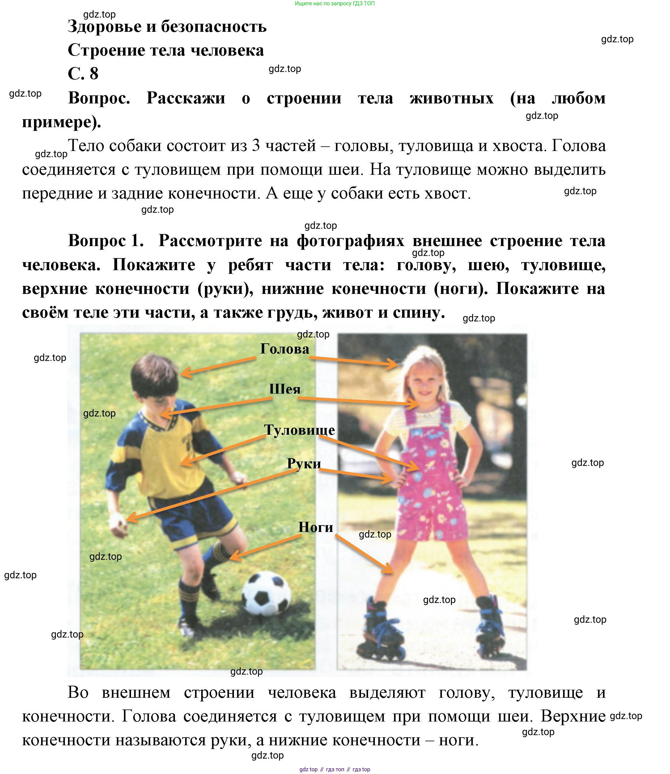 ГДЗ Окружающий мир, 1 класс Учебник, автор: Плешаков Андрей Анатольевич, издательство Просвещение, Москва, 2022, белого цвета, Часть 3, страница 8, Решение