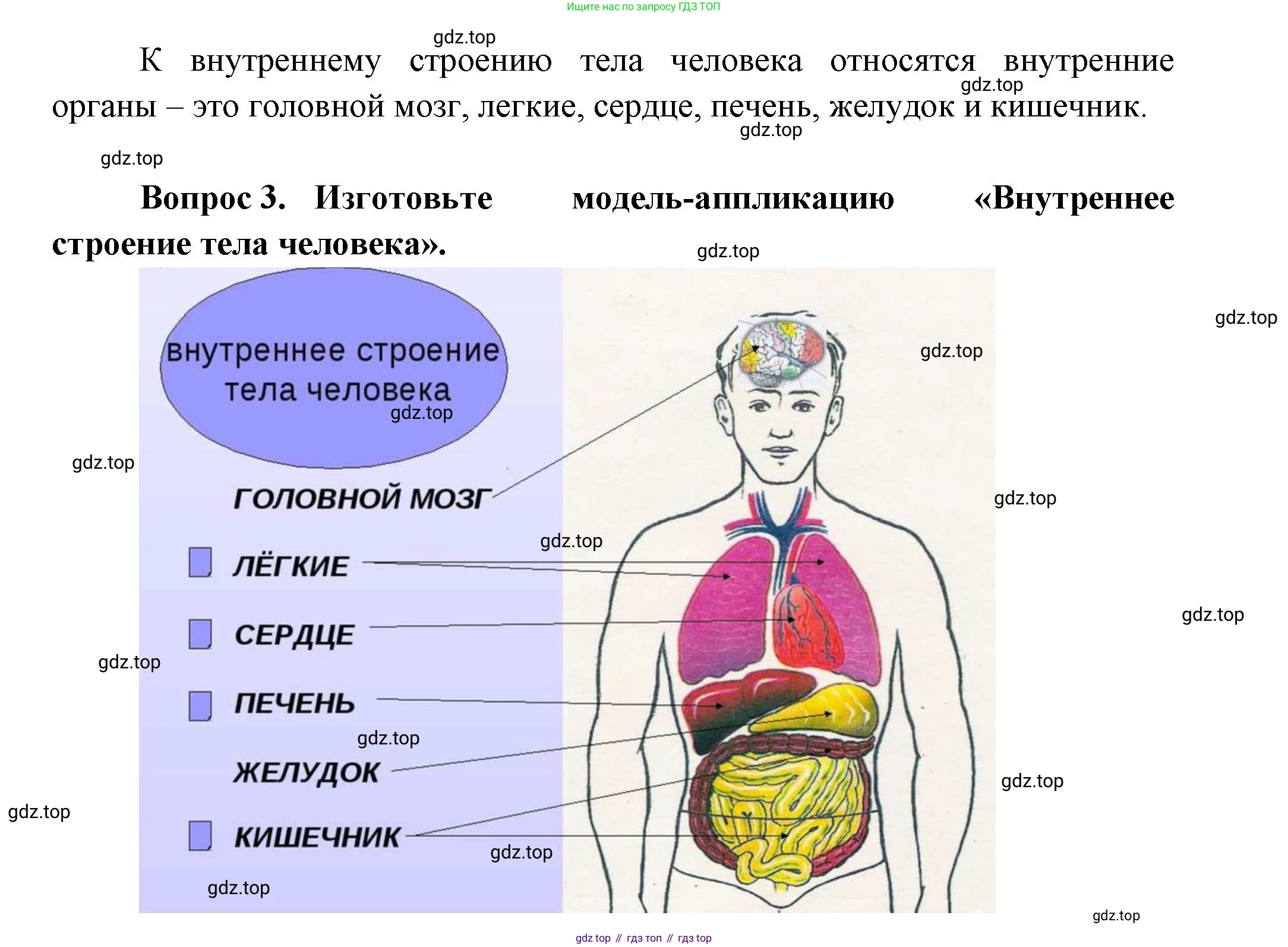 ГДЗ Окружающий мир, 1 класс Учебник, автор: Плешаков Андрей Анатольевич, издательство Просвещение, Москва, 2022, белого цвета, Часть 3, страница 9, Решение (продолжение 2)