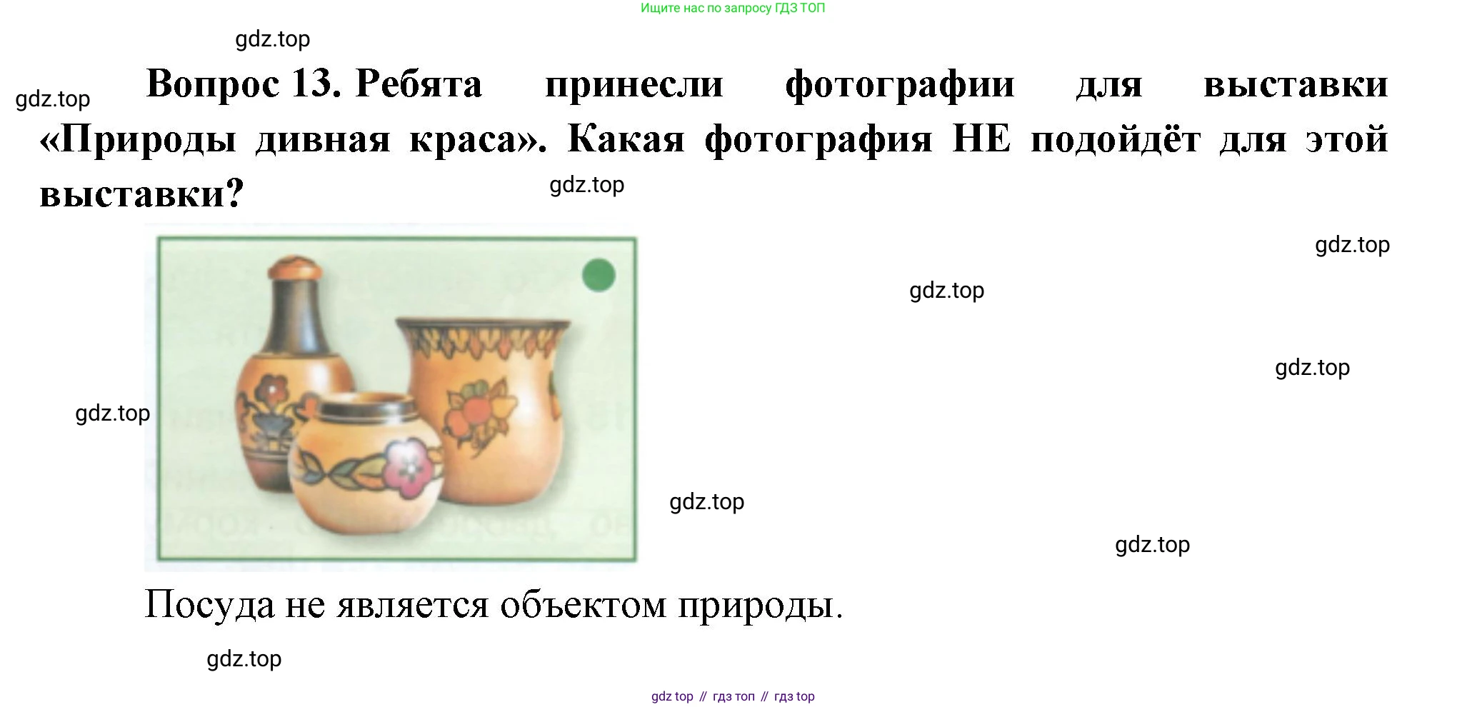 ГДЗ Окружающий мир, 1 класс Учебник, автор: Плешаков Андрей Анатольевич, издательство Просвещение, Москва, 2022, белого цвета, Часть 3, страница 91, номер 13, Решение