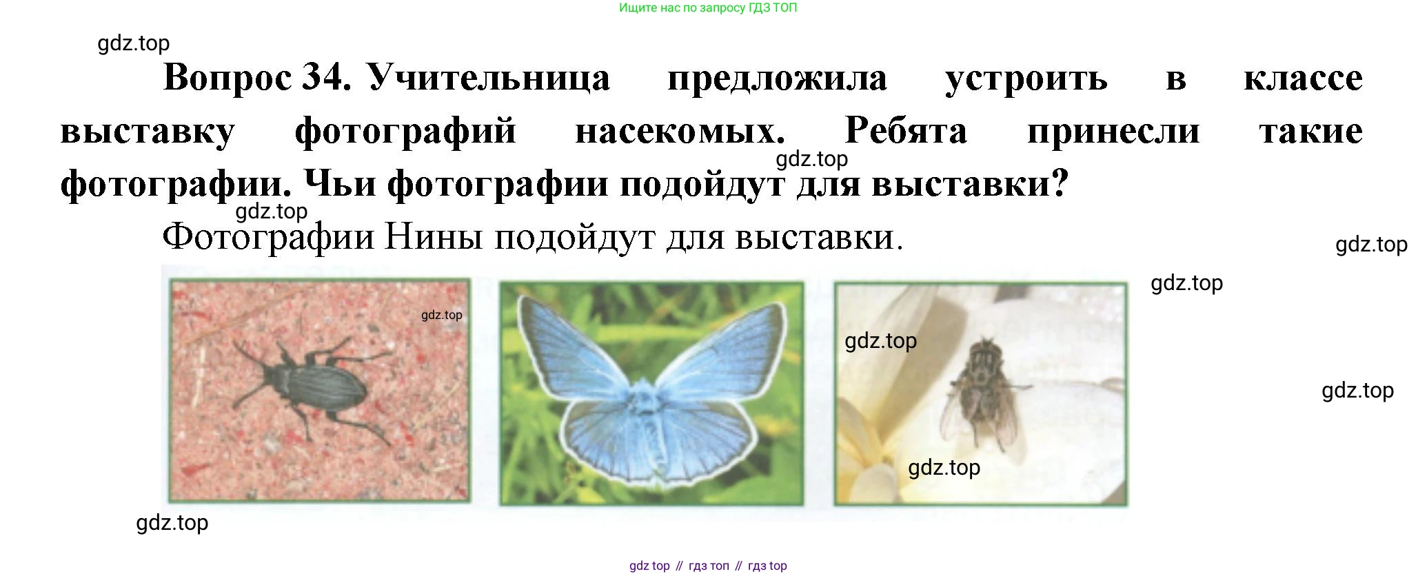ГДЗ Окружающий мир, 1 класс Учебник, автор: Плешаков Андрей Анатольевич, издательство Просвещение, Москва, 2022, белого цвета, Часть 3, страница 103, номер 34, Решение