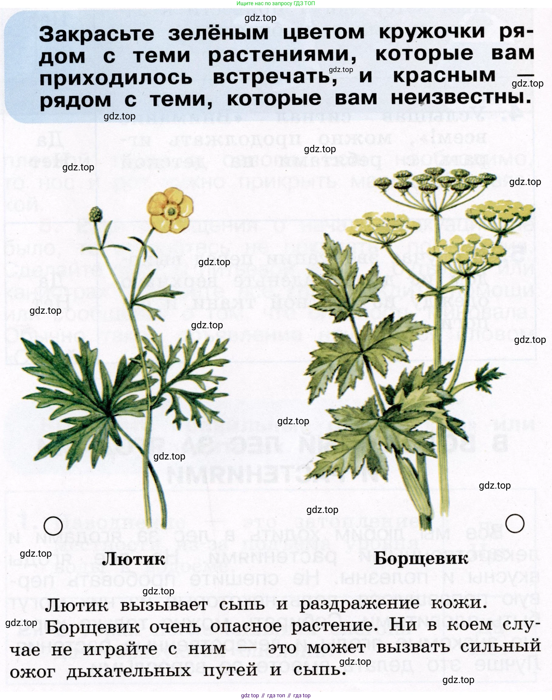 ГДЗ Окружающий мир, 2 класс рабочая тетрадь, авторы: Анастасова Л П, Ижевский Павел Владимирович, Иванова Н В, издательство Просвещение, Москва, 2019, белого цвета, страница 9, Условие