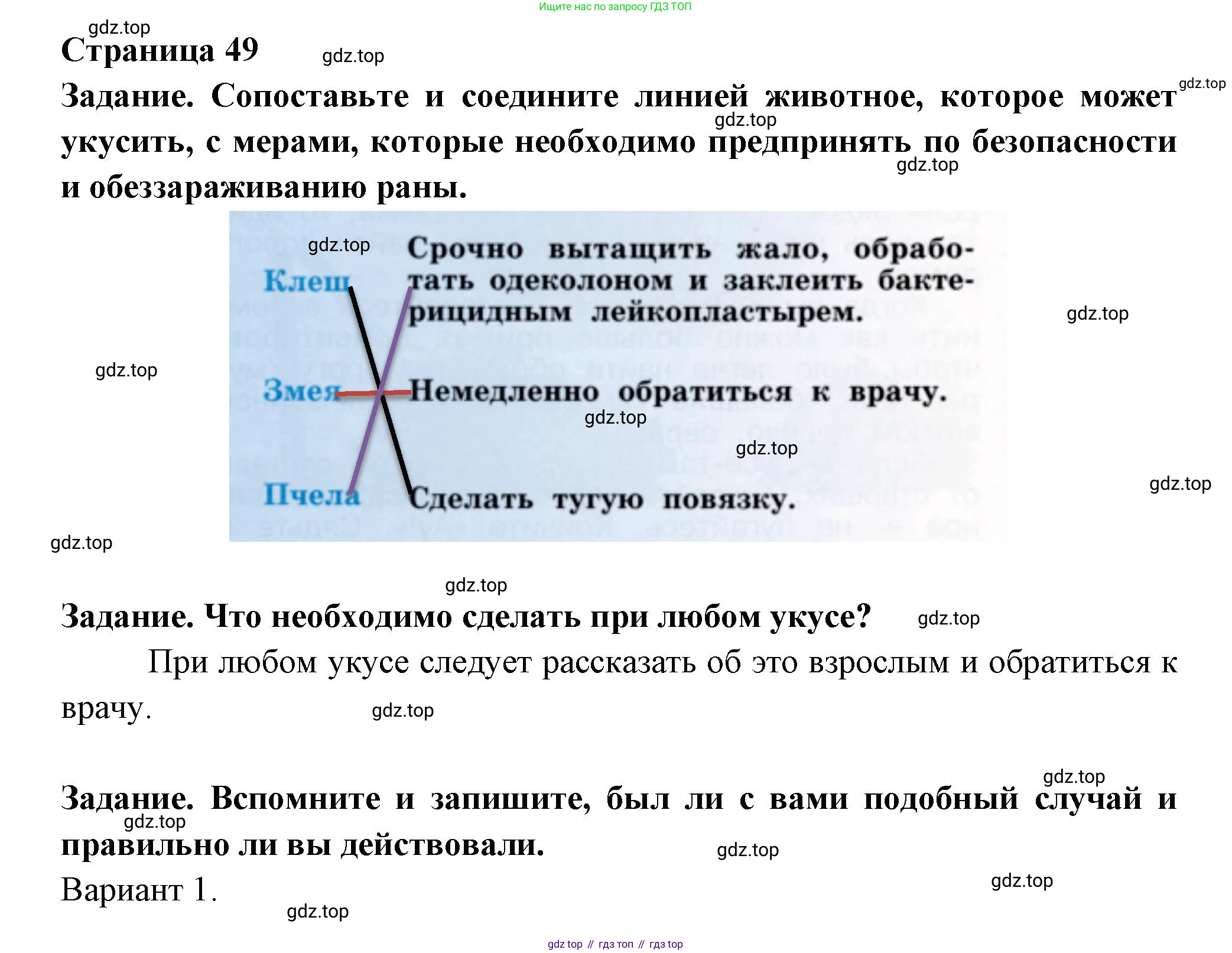 ГДЗ Окружающий мир, 2 класс рабочая тетрадь, авторы: Анастасова Л П, Ижевский Павел Владимирович, Иванова Н В, издательство Просвещение, Москва, 2019, белого цвета, страница 45, Решение (продолжение 2)