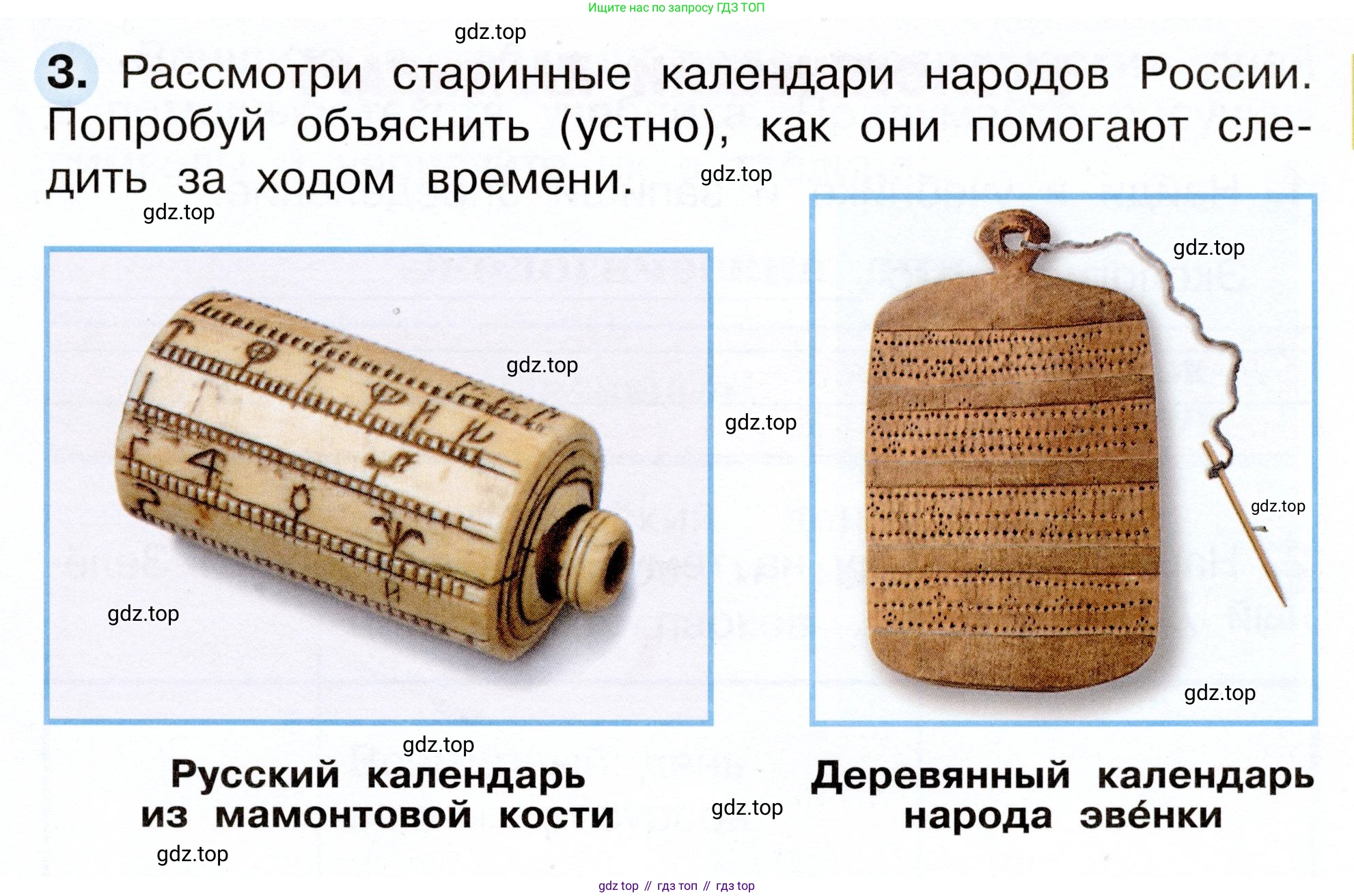 Окружающий мир, 2 класс рабочая тетрадь, авторы: Плешаков Андрей Анатольевич, Новицкая Марина Юрьевна, издательство Просвещение, Москва, 2019, белого цвета, Часть 1, страница 31, номер 3, Условие