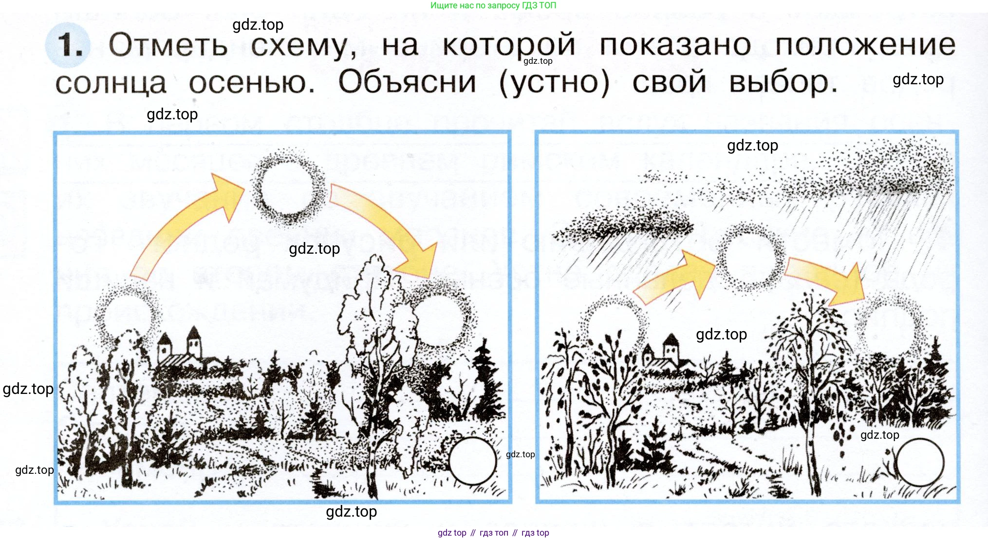 Окружающий мир, 2 класс рабочая тетрадь, авторы: Плешаков Андрей Анатольевич, Новицкая Марина Юрьевна, издательство Просвещение, Москва, 2019, белого цвета, Часть 1, страница 38, номер 1, Условие