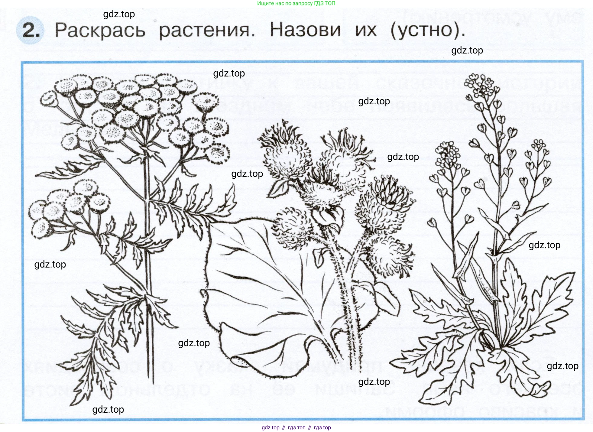 Окружающий мир, 2 класс рабочая тетрадь, авторы: Плешаков Андрей Анатольевич, Новицкая Марина Юрьевна, издательство Просвещение, Москва, 2019, белого цвета, Часть 1, страница 44, номер 2, Условие