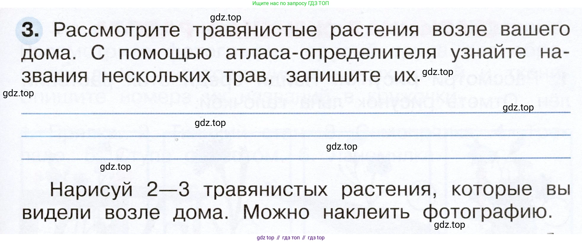 Окружающий мир, 2 класс рабочая тетрадь, авторы: Плешаков Андрей Анатольевич, Новицкая Марина Юрьевна, издательство Просвещение, Москва, 2019, белого цвета, Часть 1, страница 45, номер 3, Условие