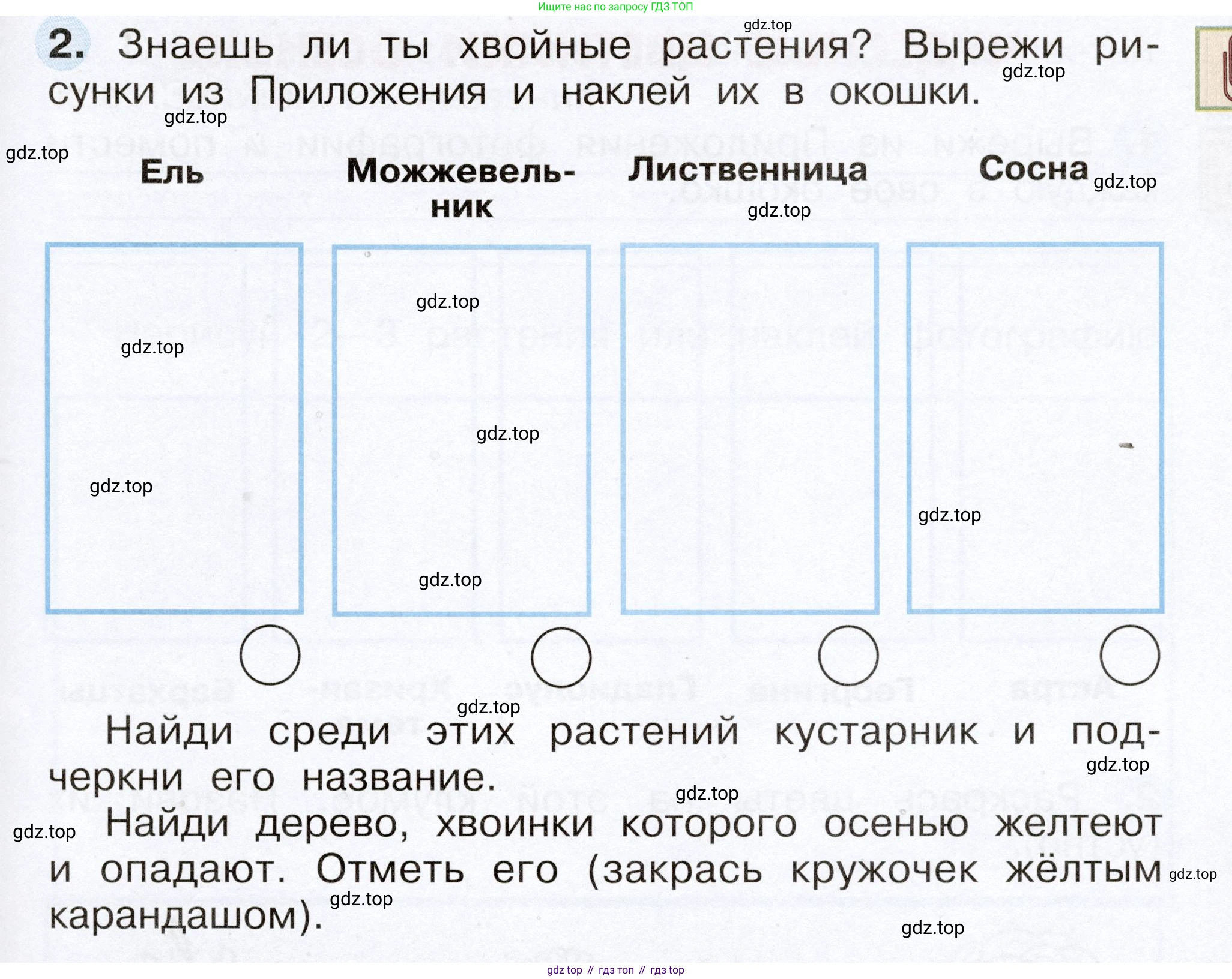 Окружающий мир, 2 класс рабочая тетрадь, авторы: Плешаков Андрей Анатольевич, Новицкая Марина Юрьевна, издательство Просвещение, Москва, 2019, белого цвета, Часть 1, страница 49, номер 2, Условие