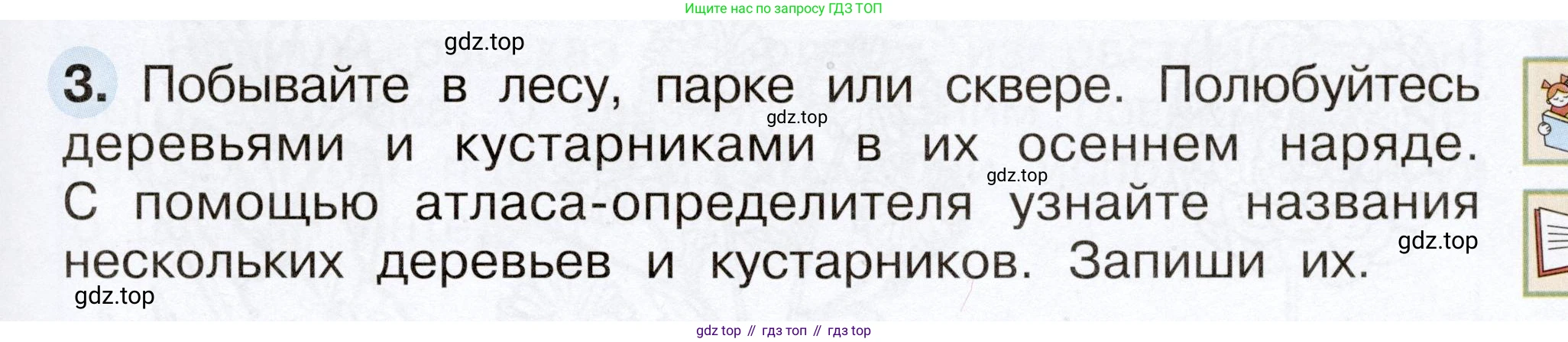 Окружающий мир, 2 класс рабочая тетрадь, авторы: Плешаков Андрей Анатольевич, Новицкая Марина Юрьевна, издательство Просвещение, Москва, 2019, белого цвета, Часть 1, страница 49, номер 3, Условие