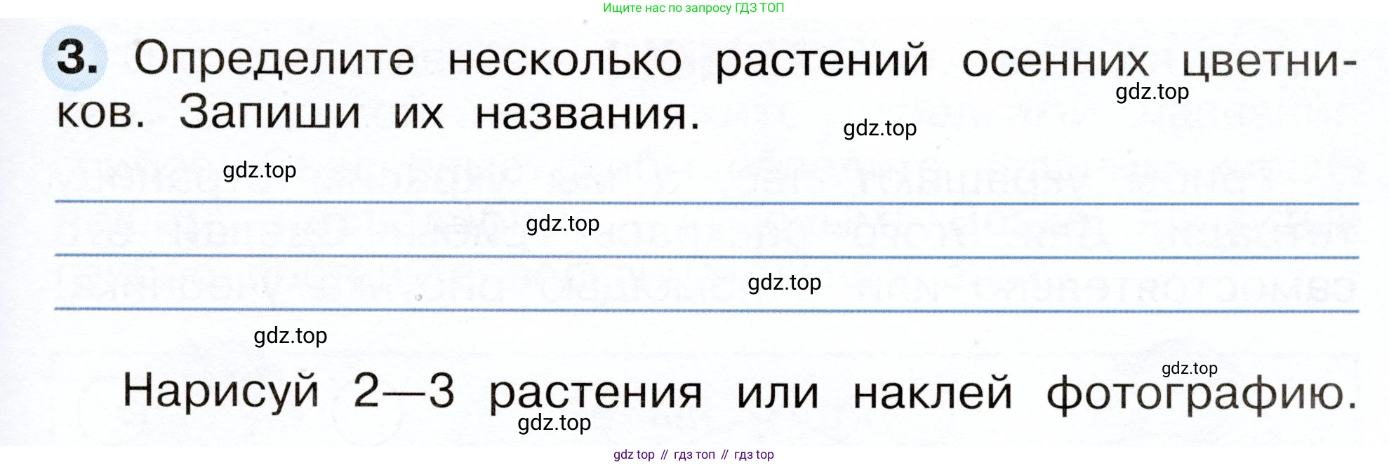 Окружающий мир, 2 класс рабочая тетрадь, авторы: Плешаков Андрей Анатольевич, Новицкая Марина Юрьевна, издательство Просвещение, Москва, 2019, белого цвета, Часть 1, страница 51, номер 3, Условие